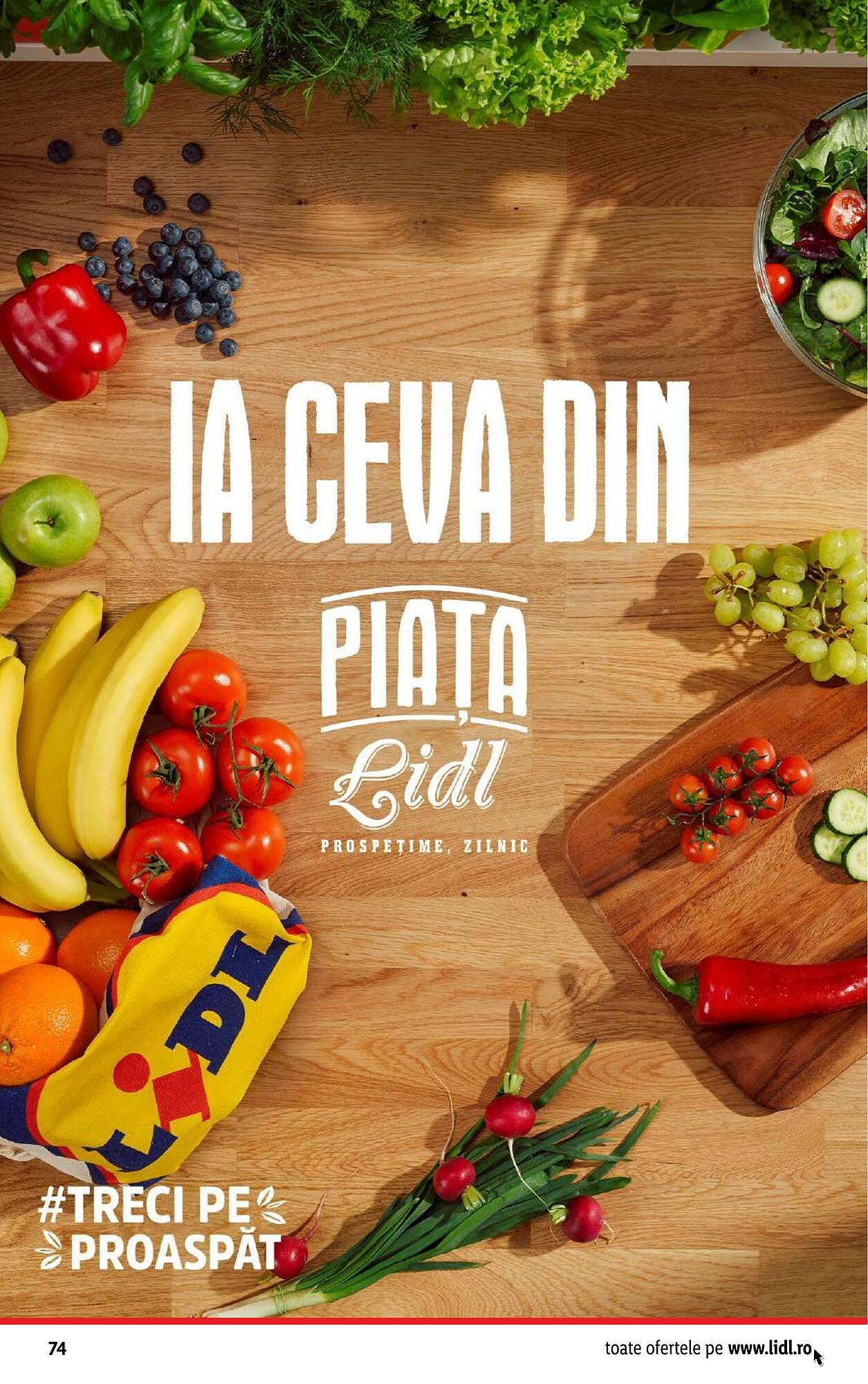 Catalog Lidl