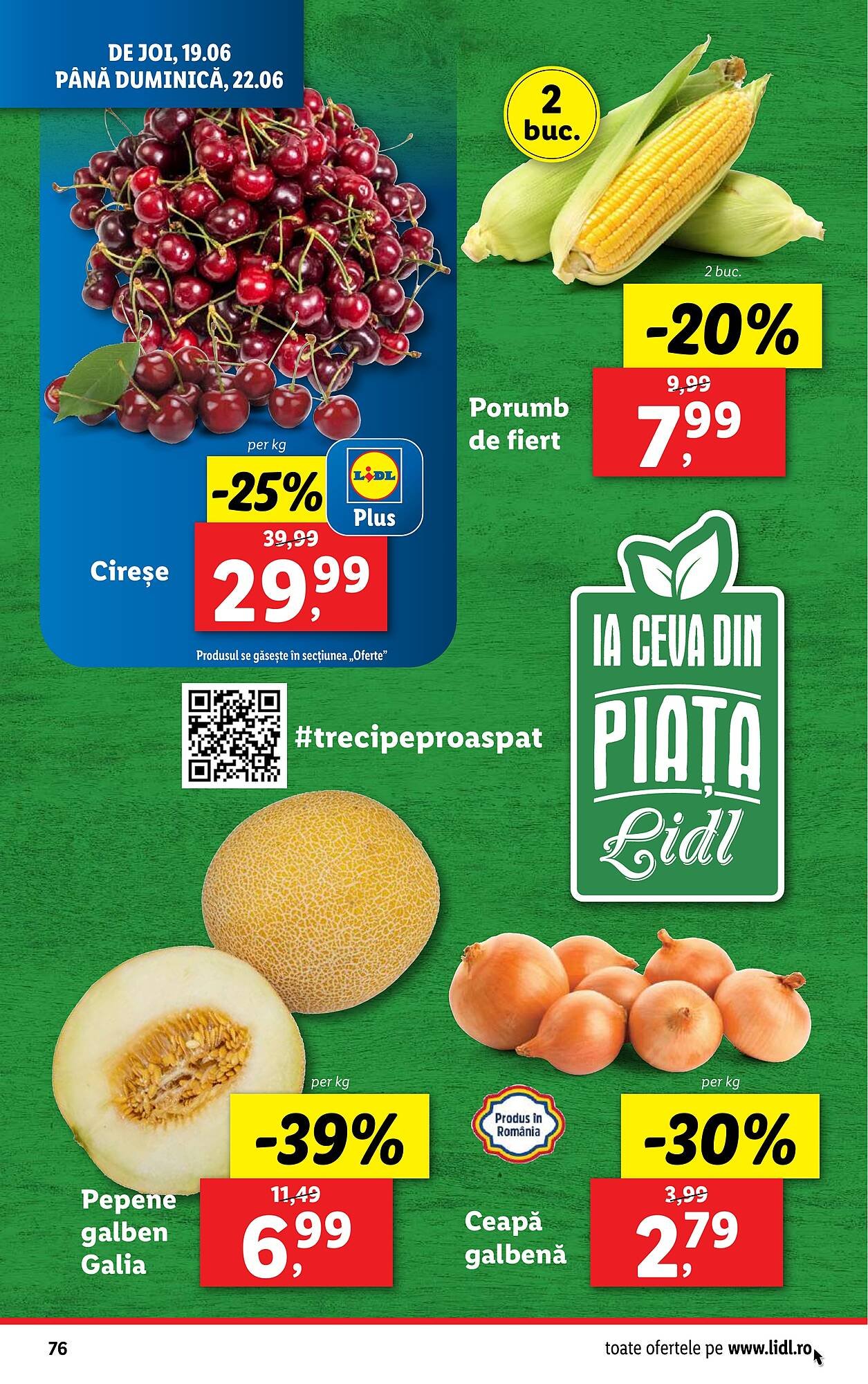 Catalog Lidl