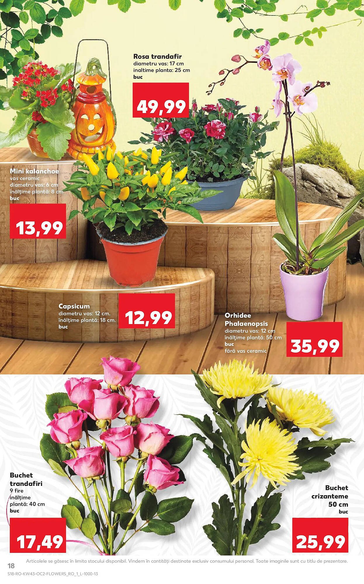 Catalog Kaufland