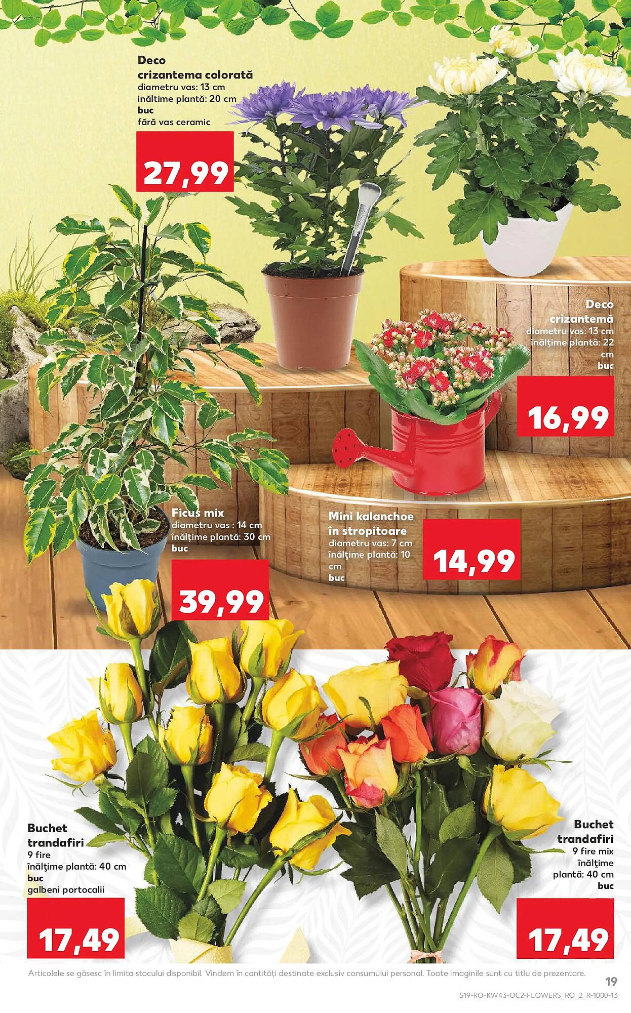 Catalog Kaufland