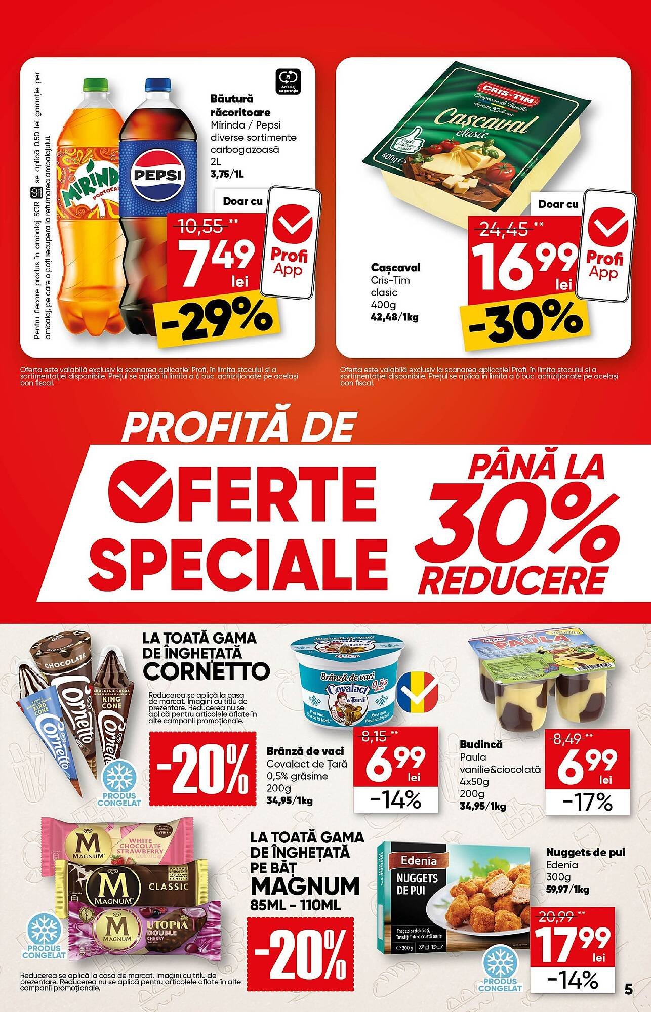 Catalog PROFI