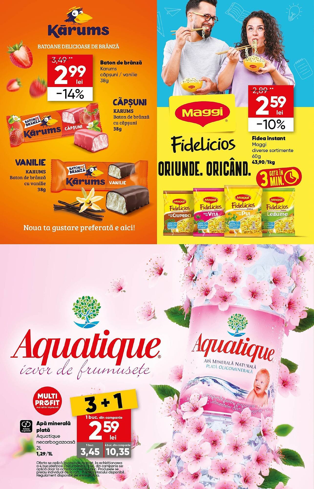 Catalog PROFI