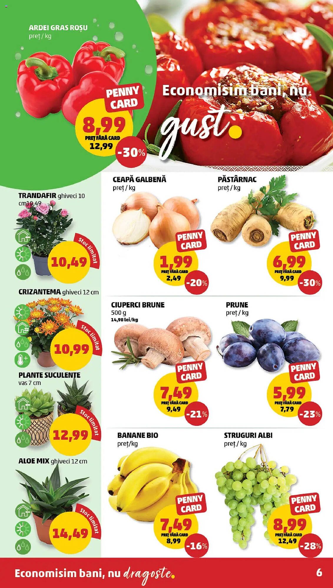 Catalog Penny