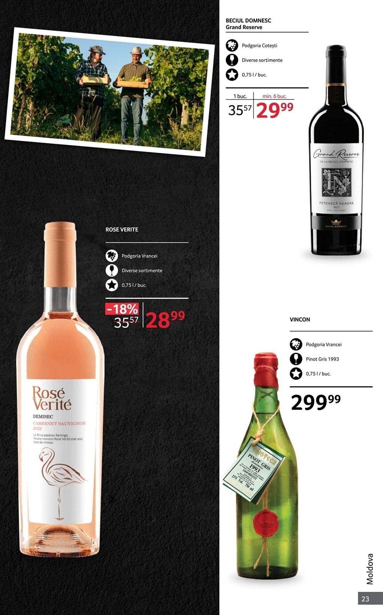 Catalog Selgros