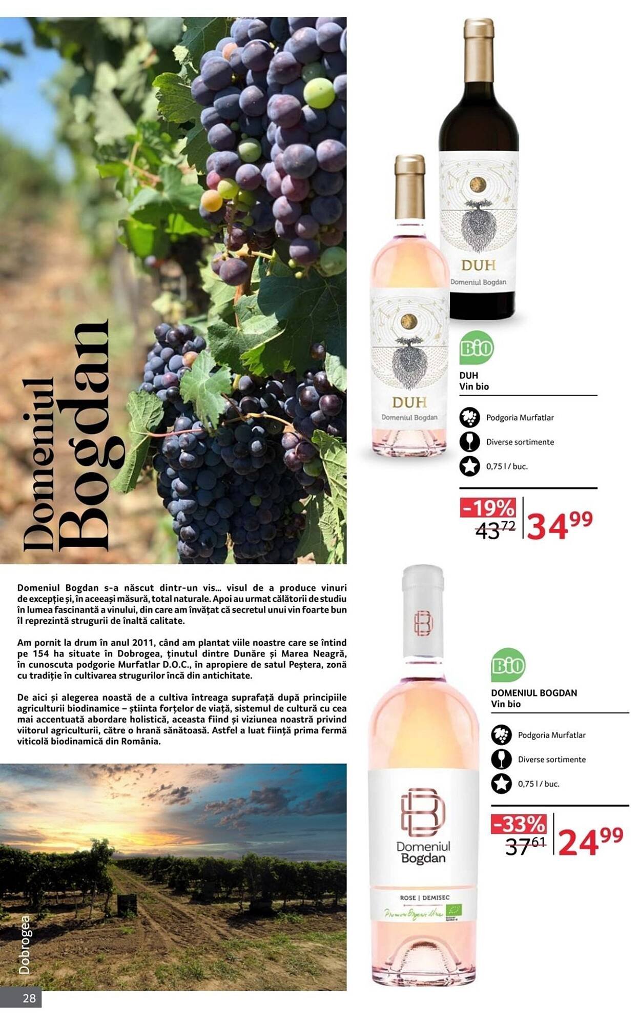 Catalog Selgros