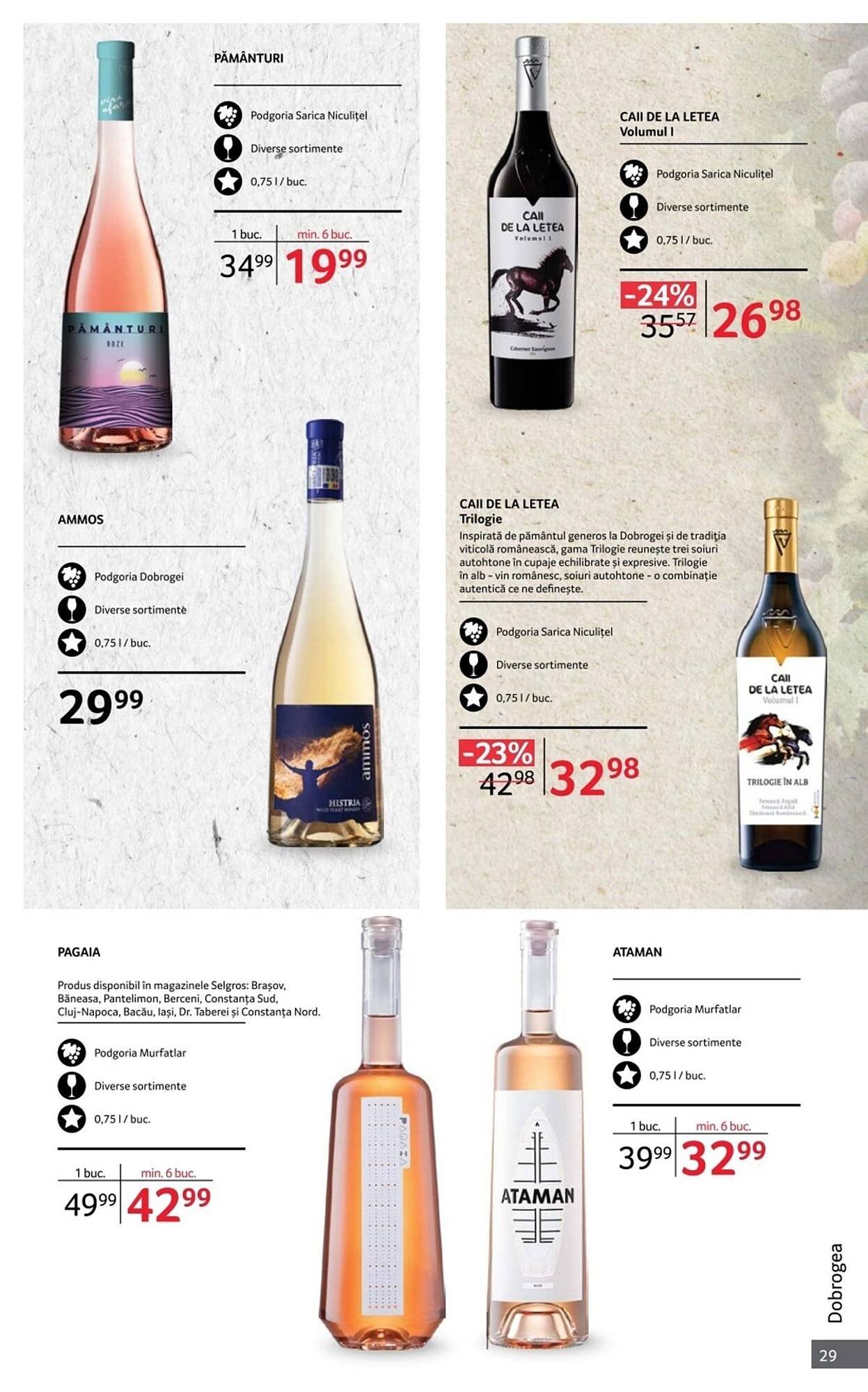 Catalog Selgros