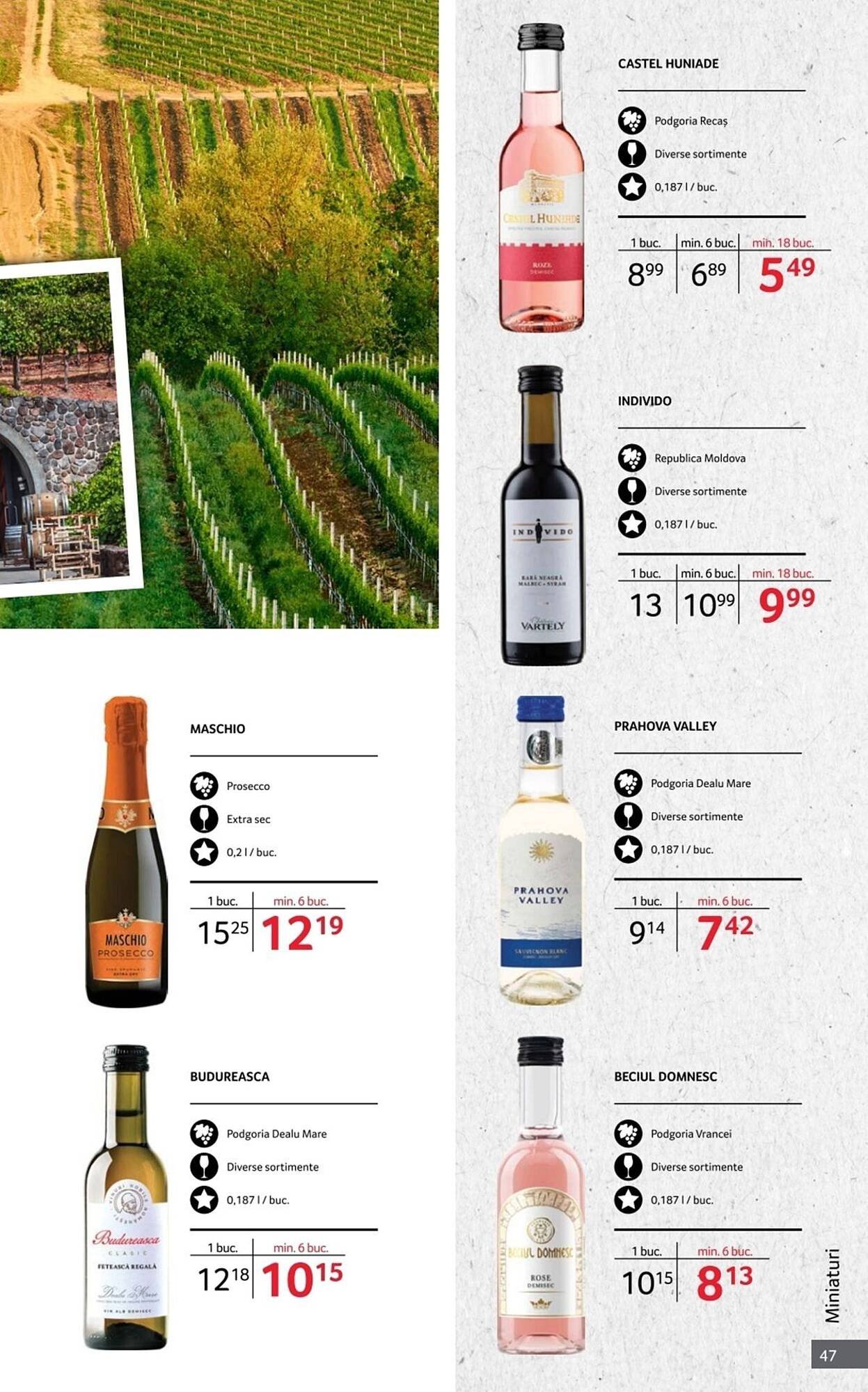 Catalog Selgros