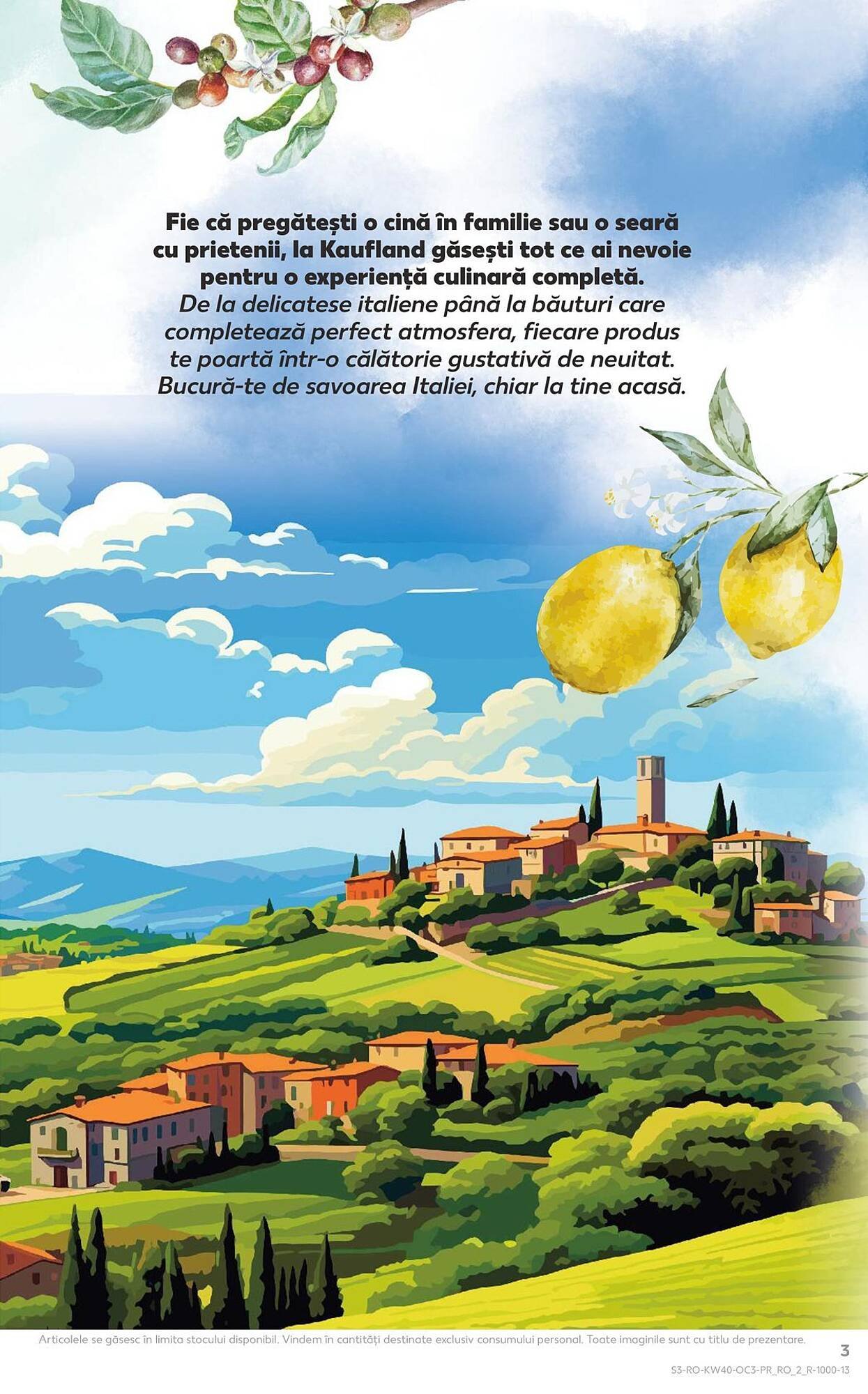 Catalog Kaufland
