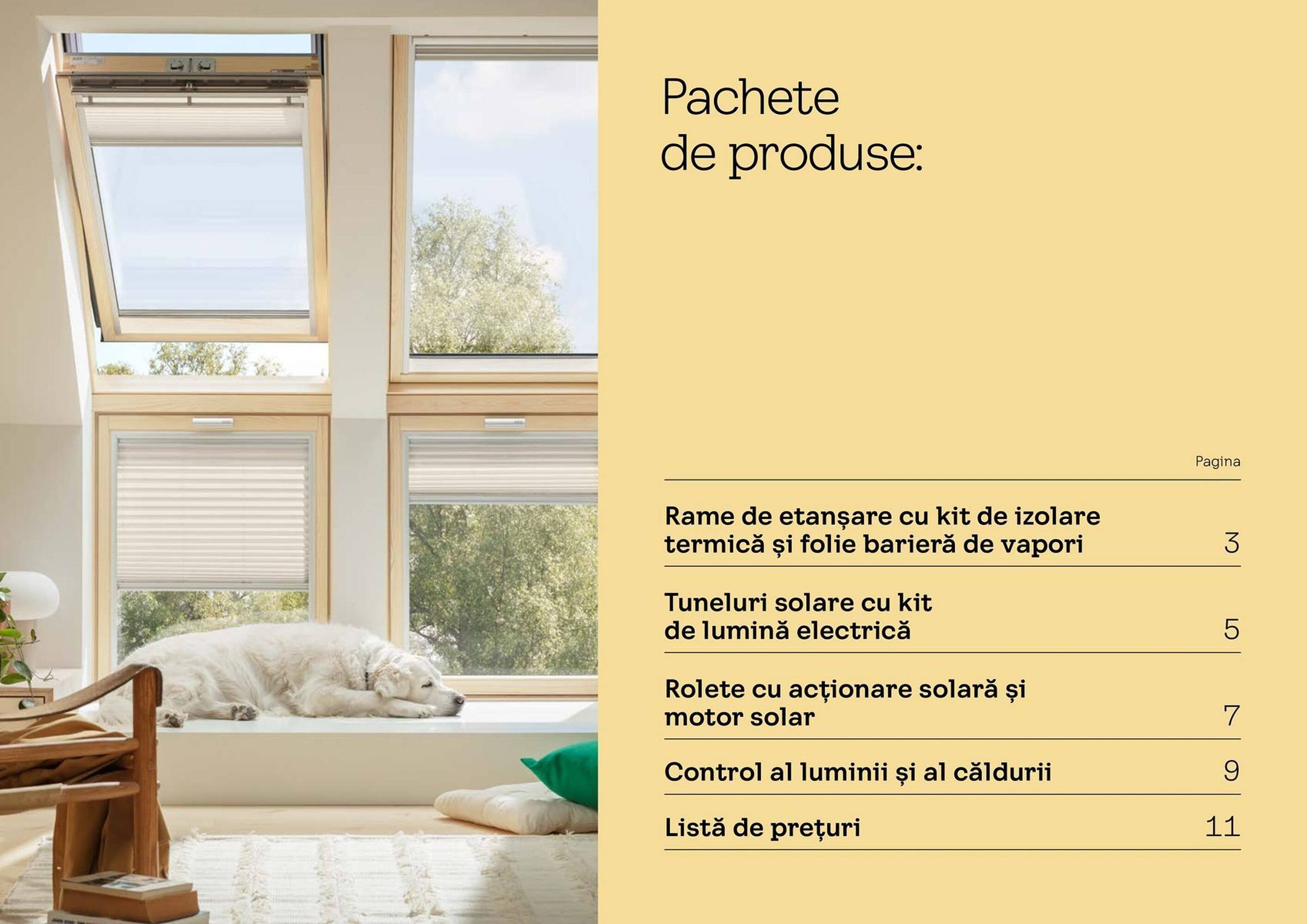 Catalog Velux