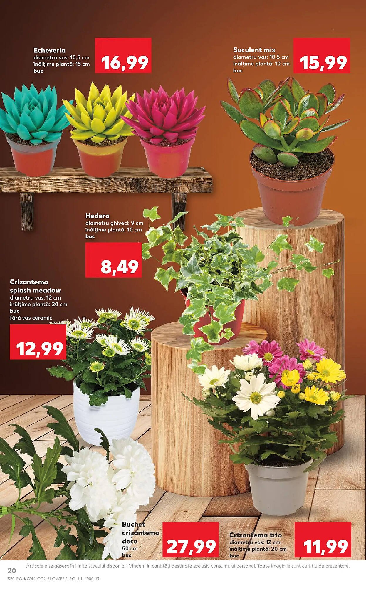 Catalog Kaufland