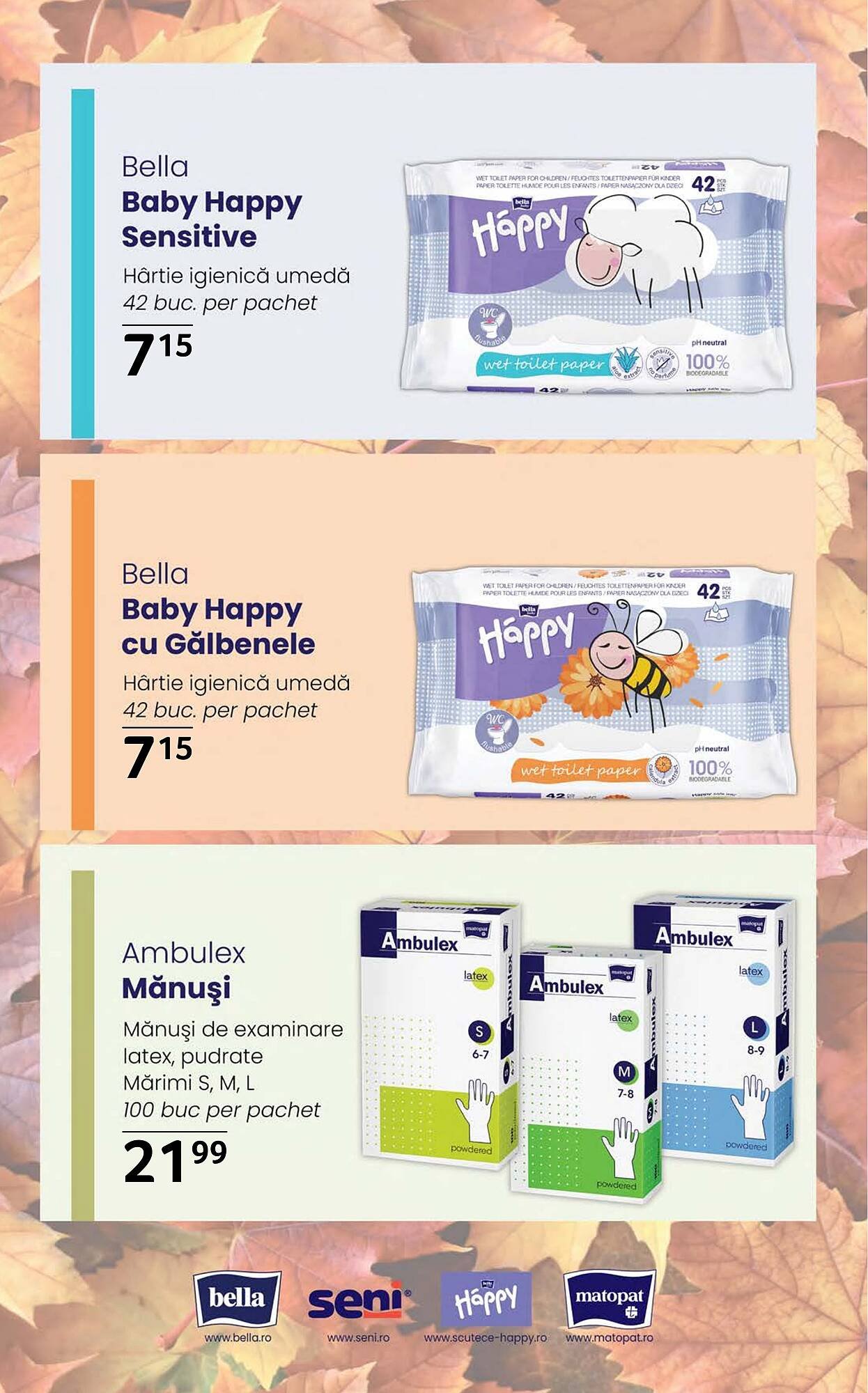 Catalog Selgros