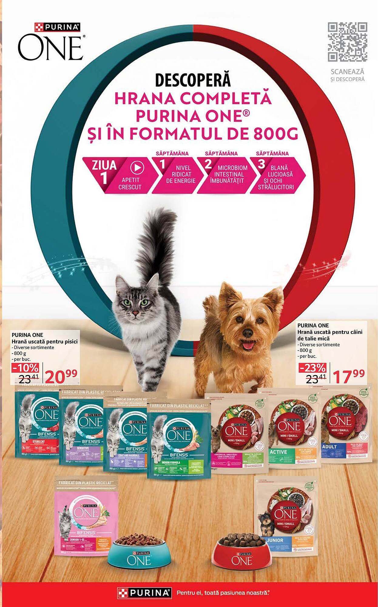 Catalog Selgros