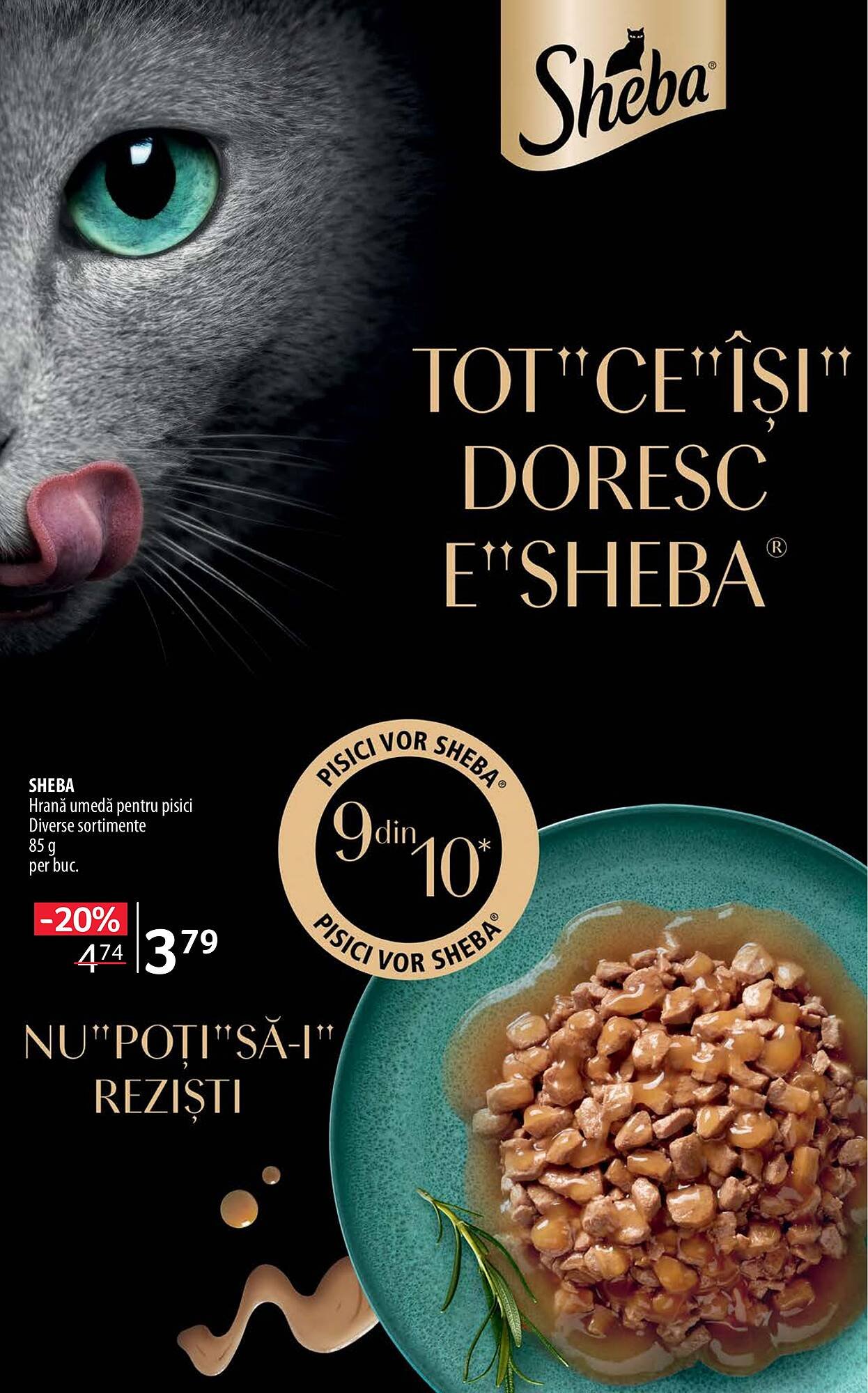 Catalog Selgros