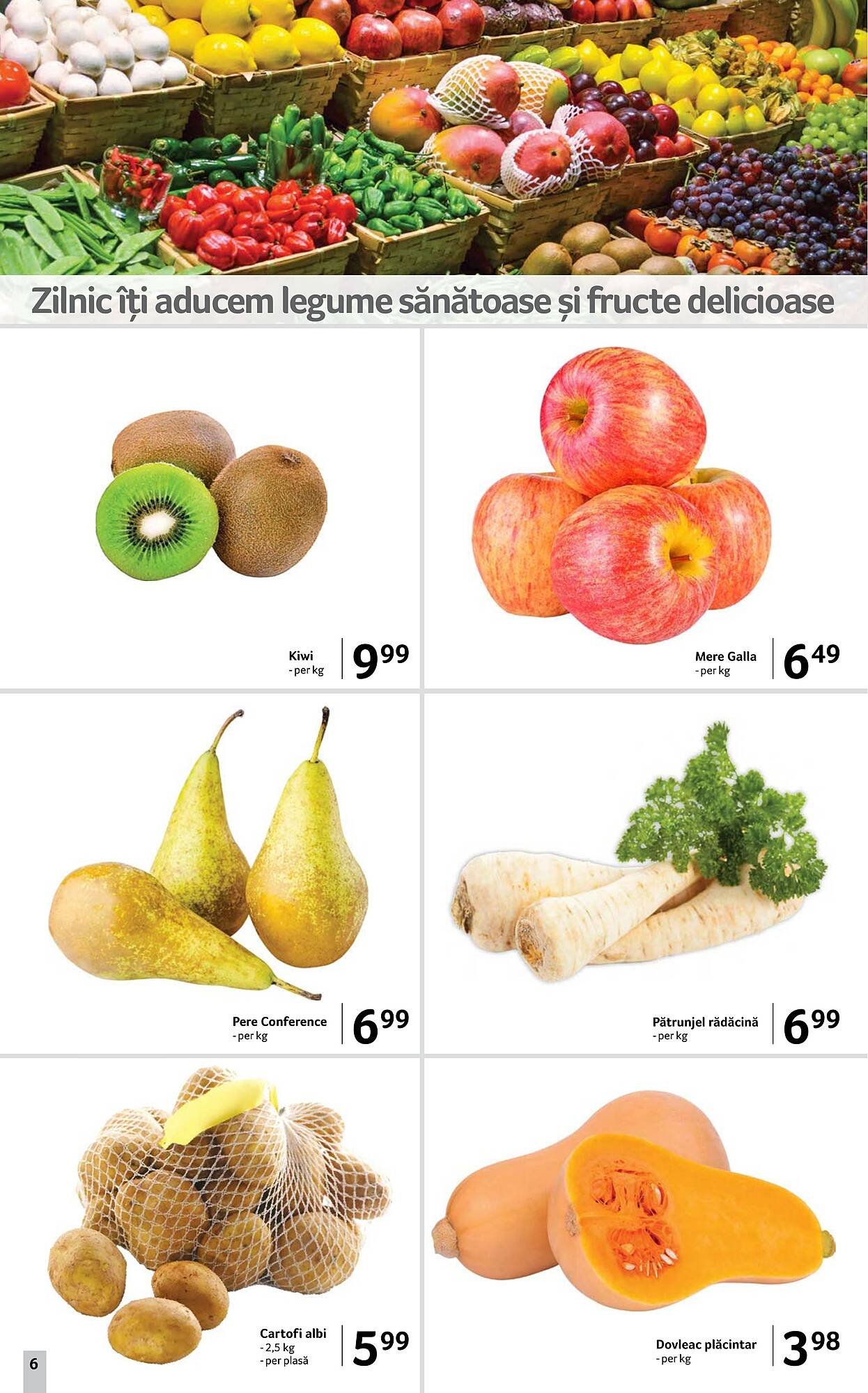 Catalog Selgros