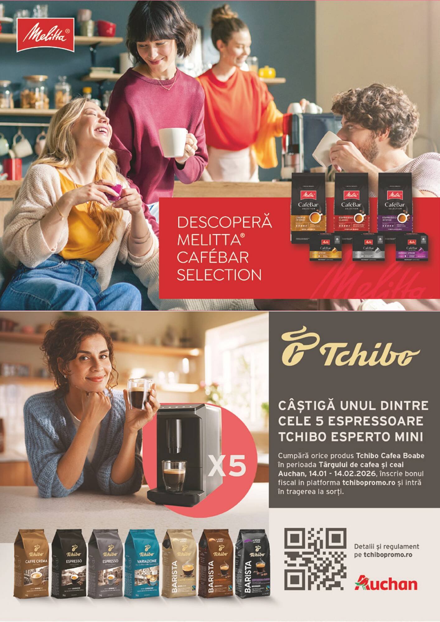 Catalog Auchan