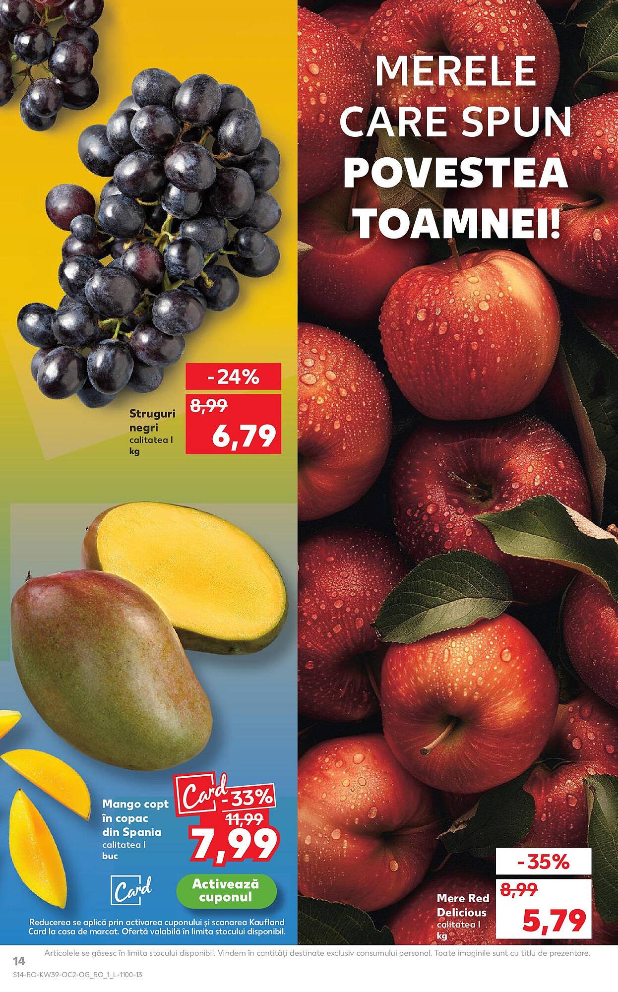 Catalog Kaufland