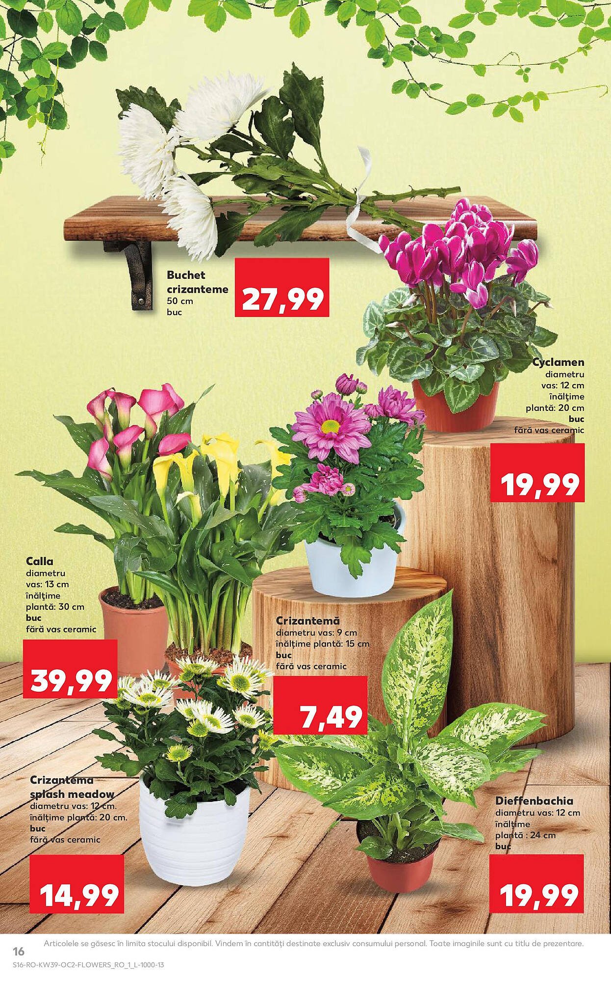Catalog Kaufland