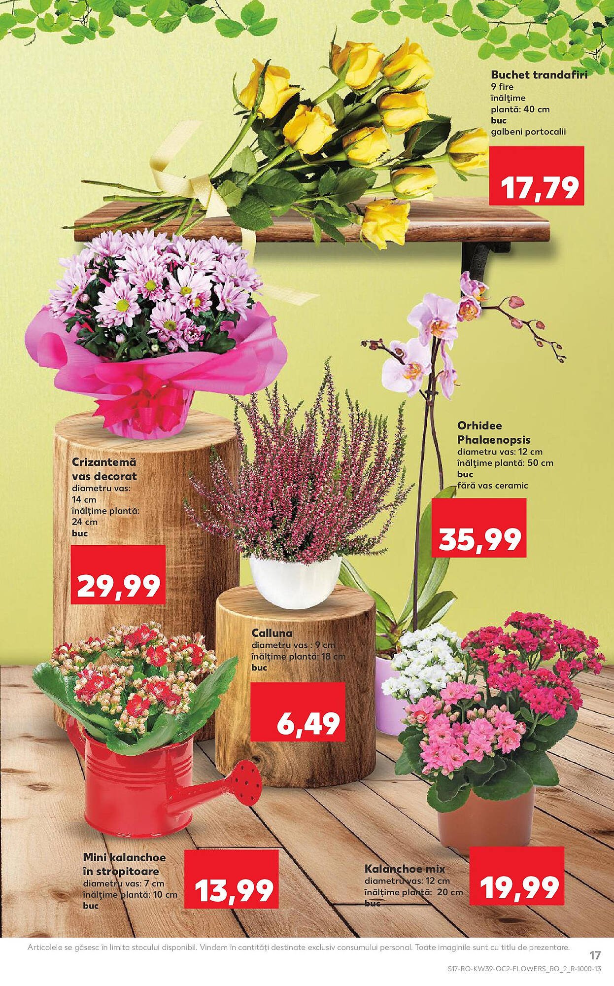 Catalog Kaufland