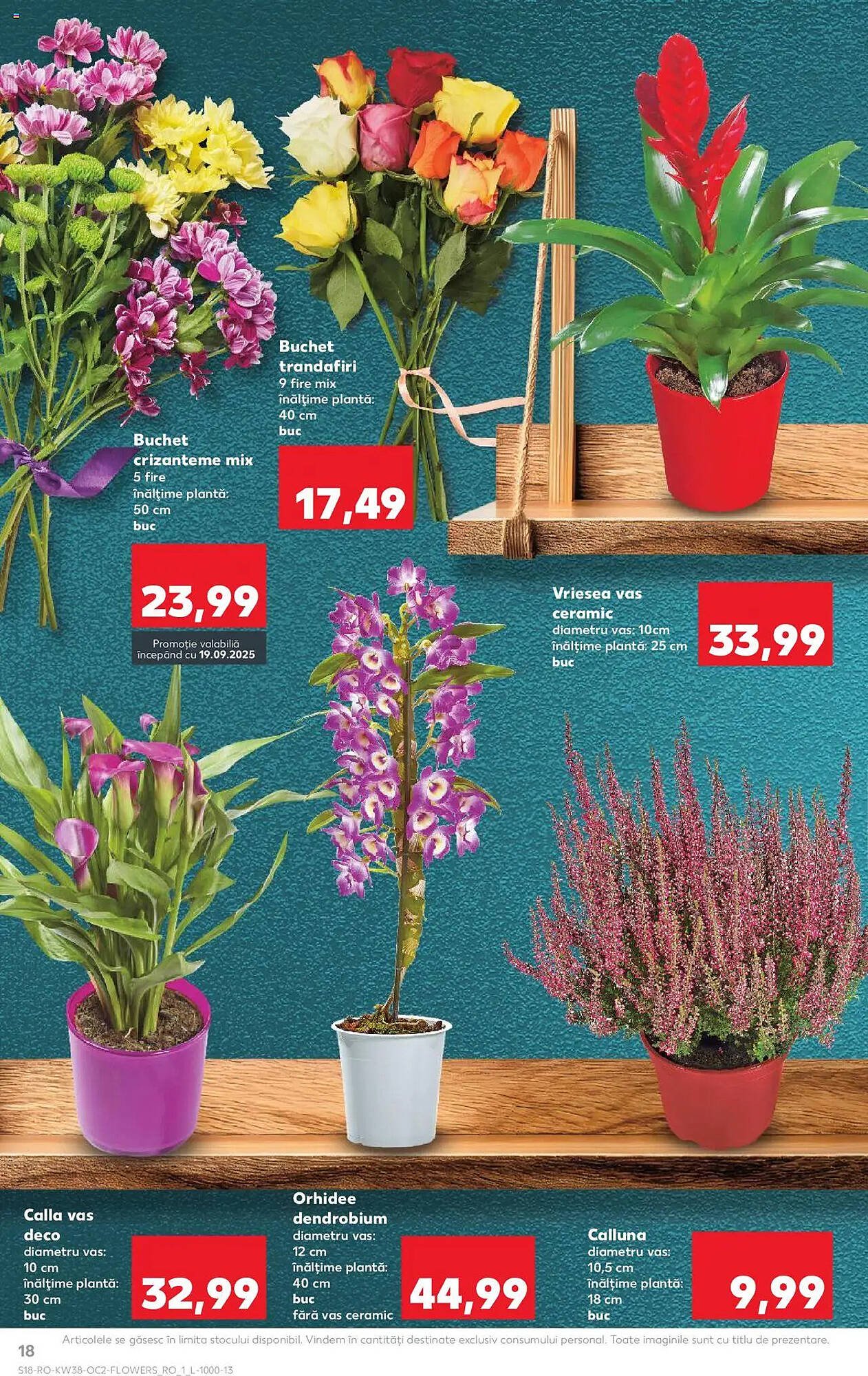 Catalog Kaufland