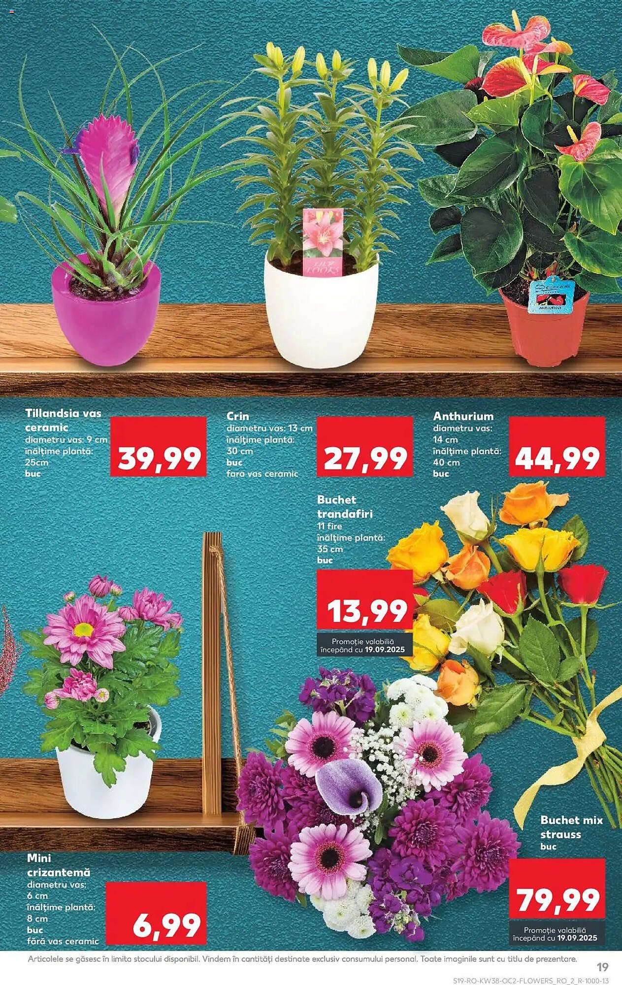 Catalog Kaufland