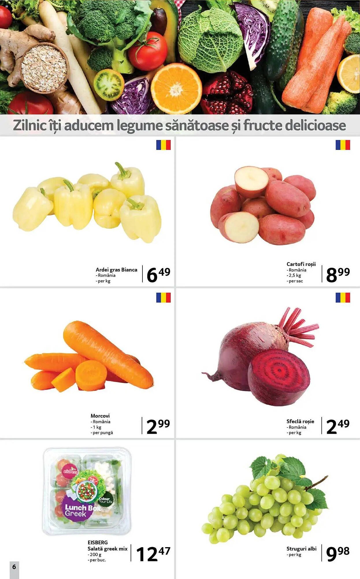 Catalog Selgros
