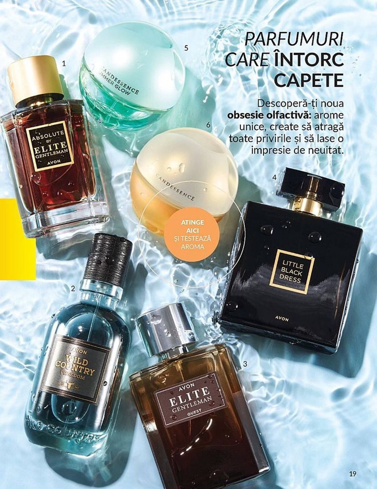 Catalog Avon