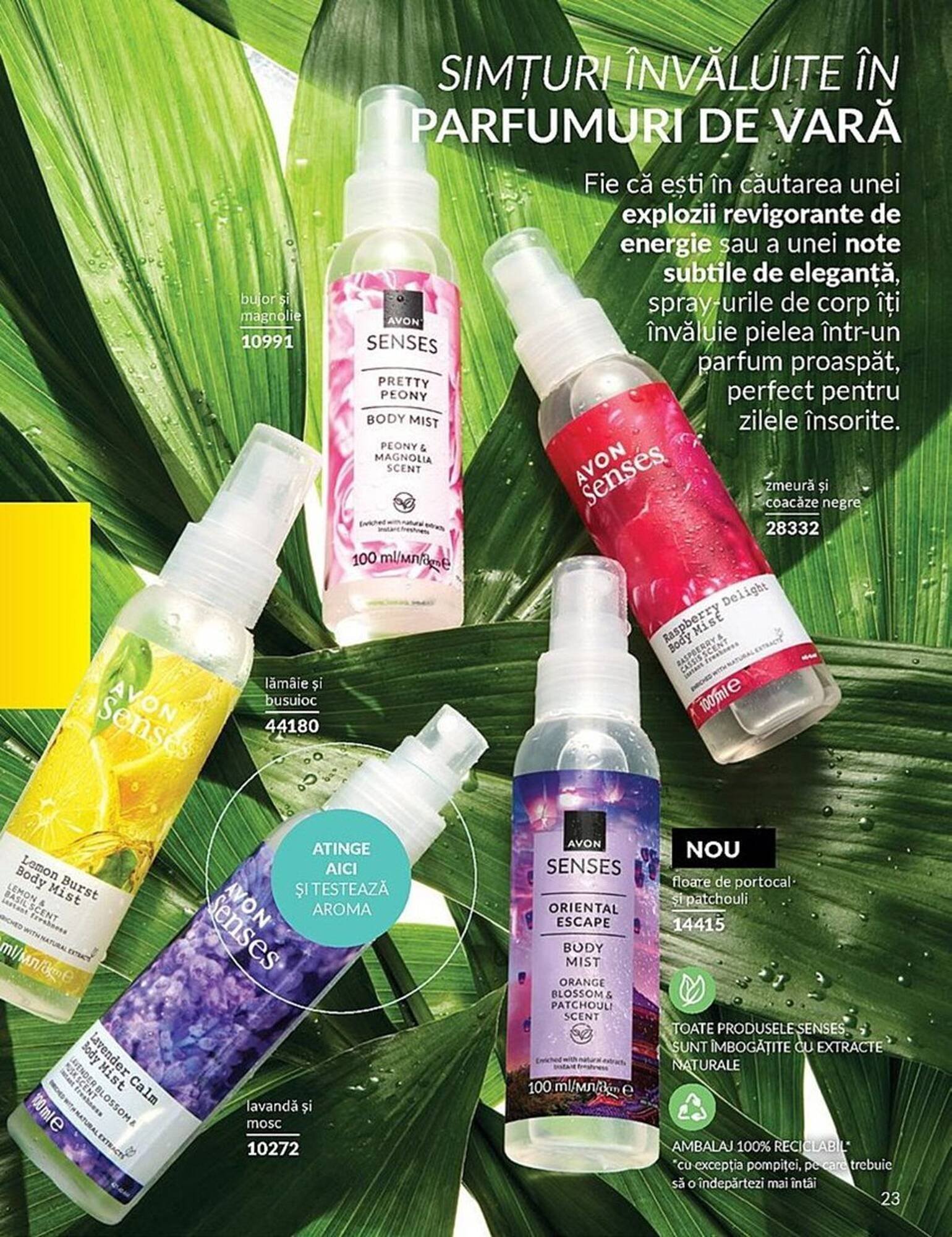 Catalog Avon