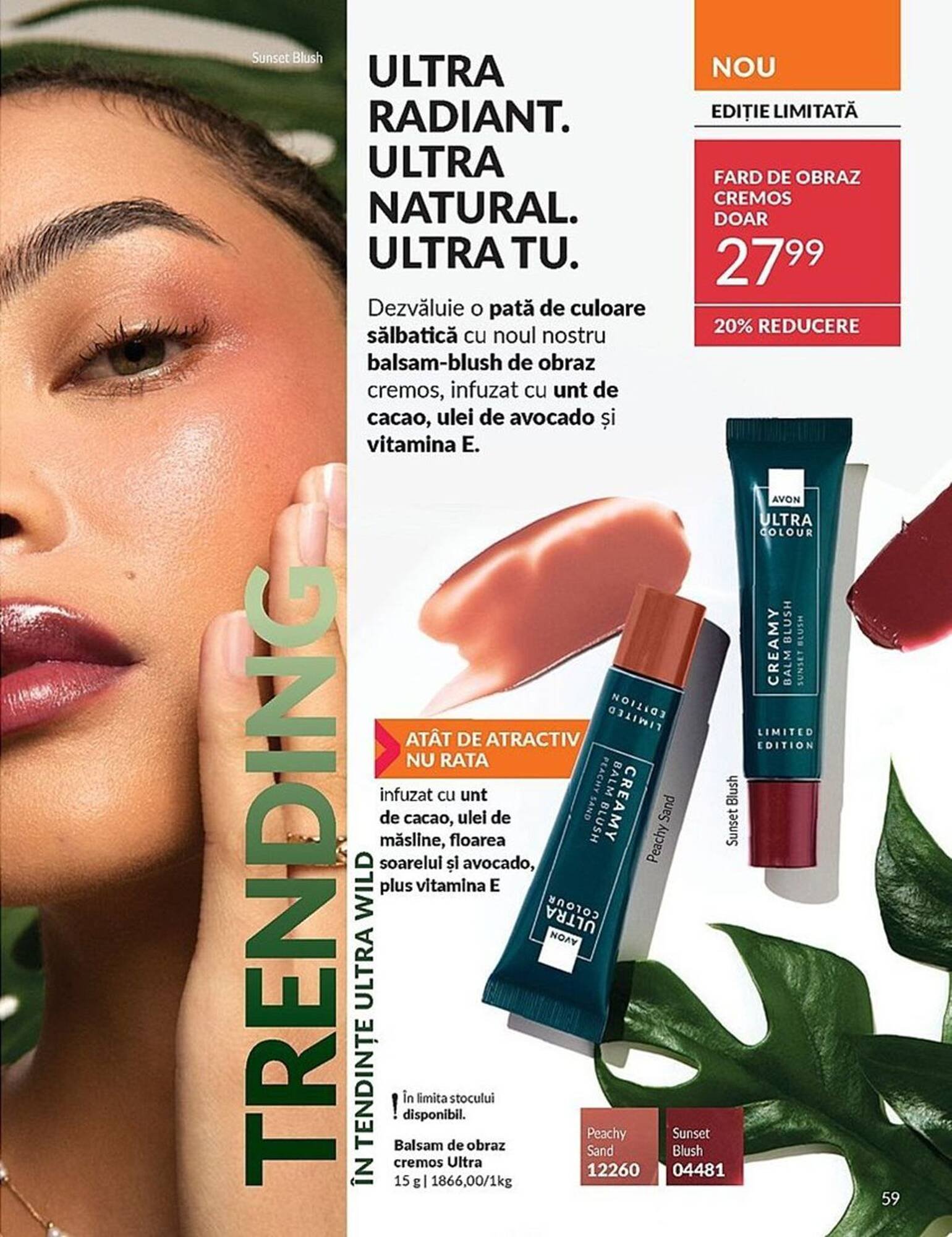 Catalog Avon