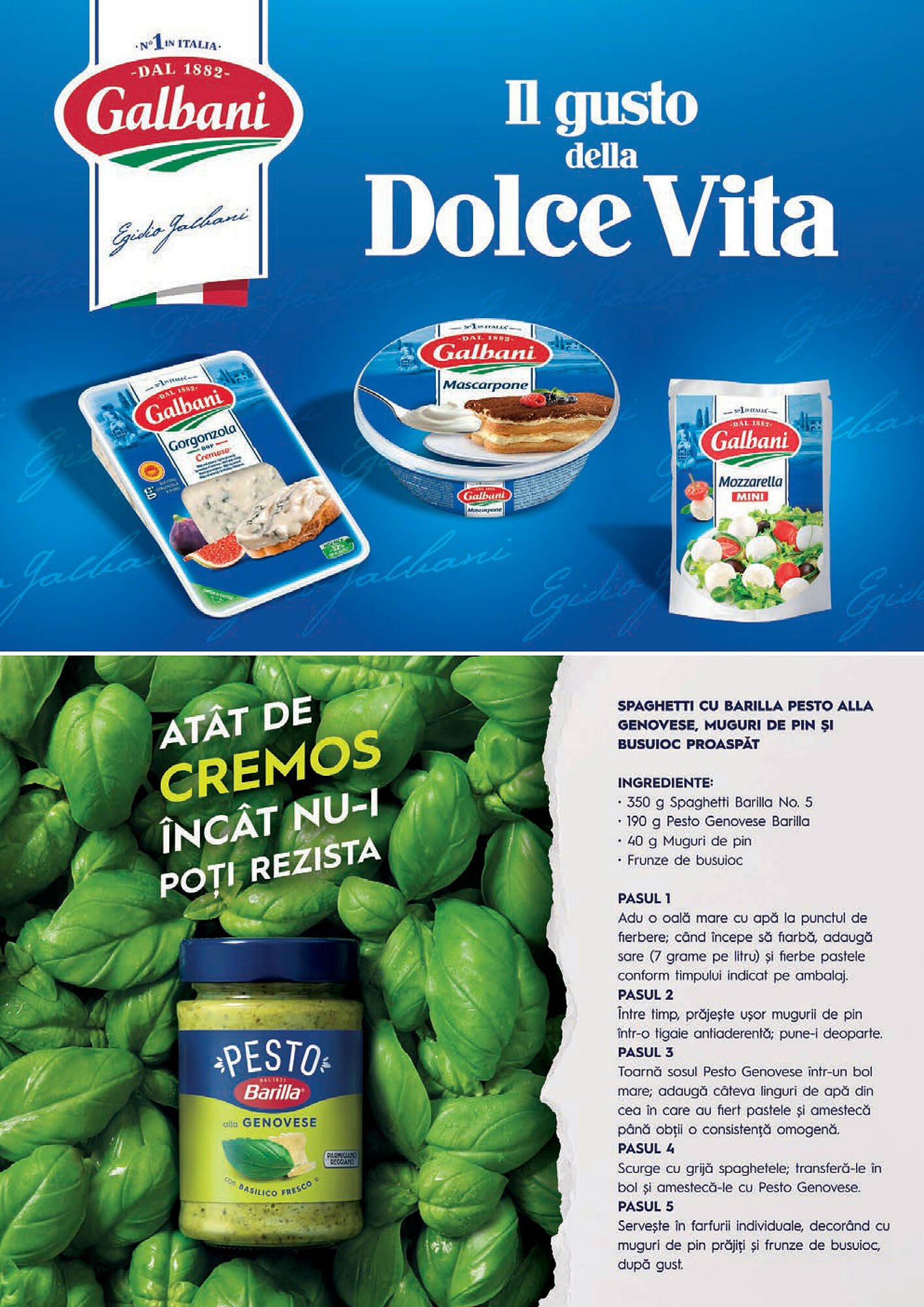 Catalog Mega Image