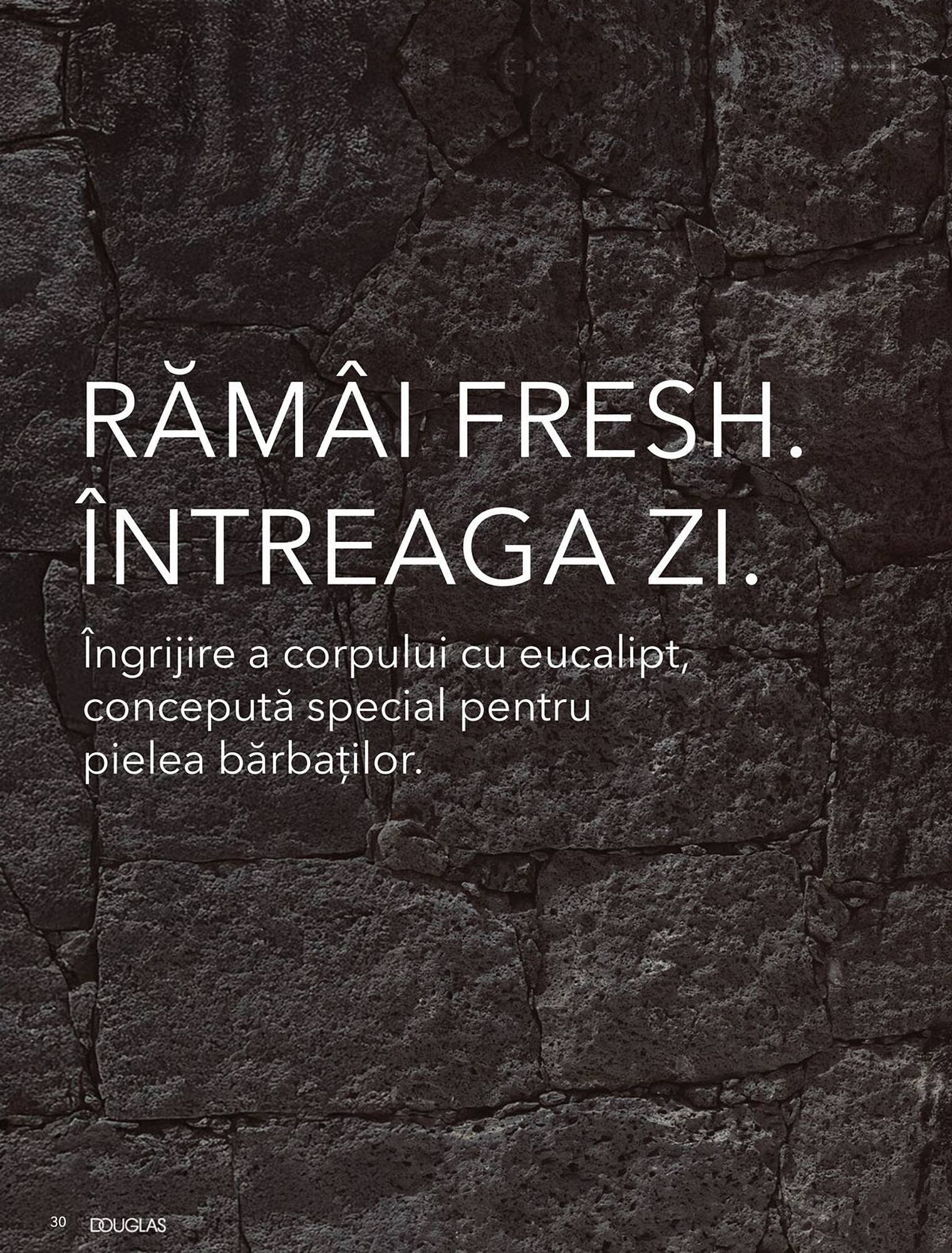 Catalog Douglas