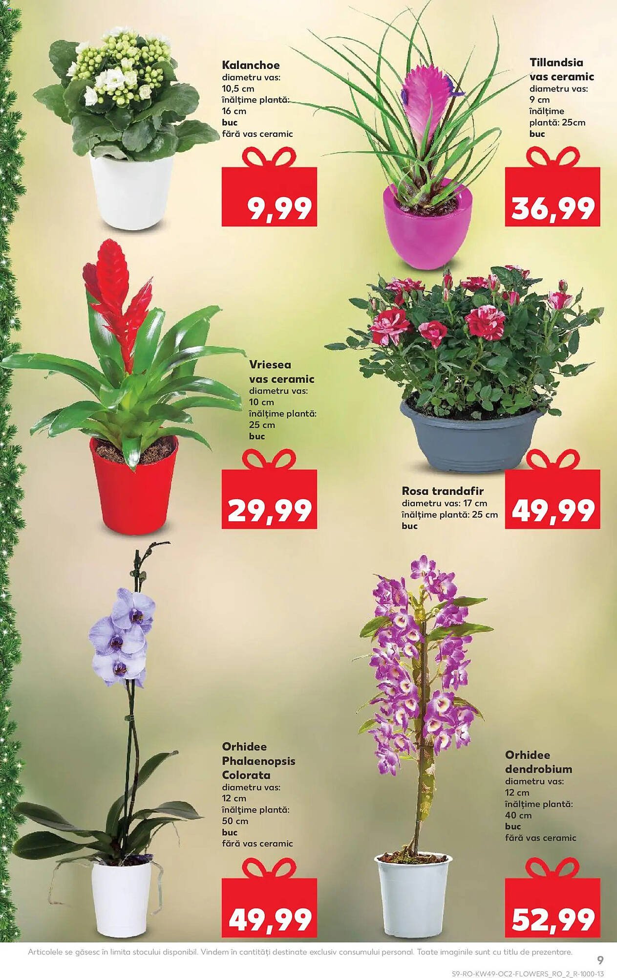 Catalog Kaufland