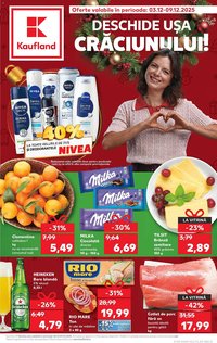 Catalog Kaufland