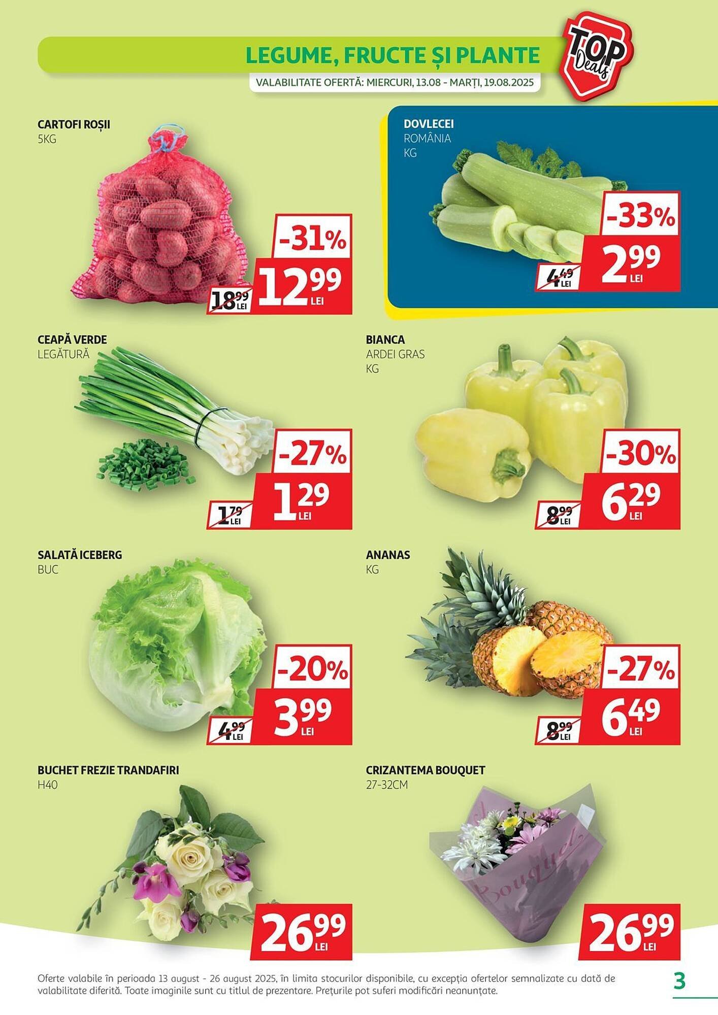 Catalog Auchan