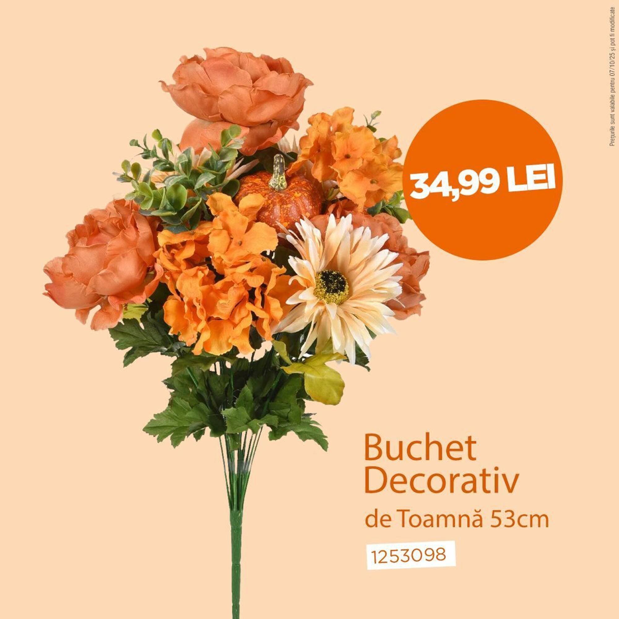 Catalog Jumbo