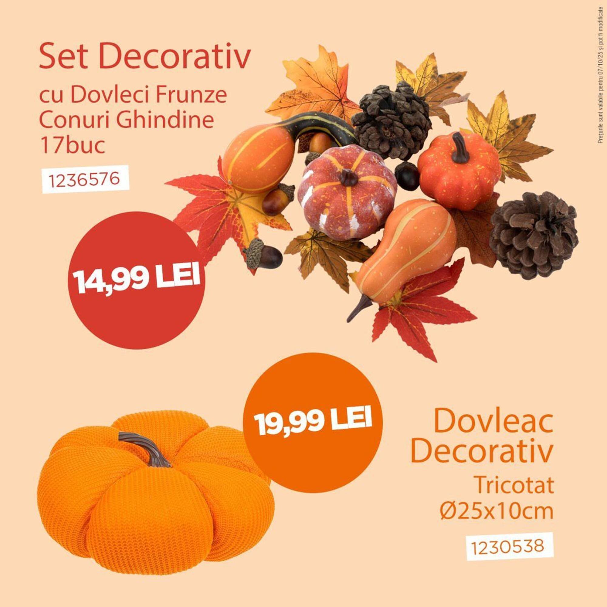 Catalog Jumbo