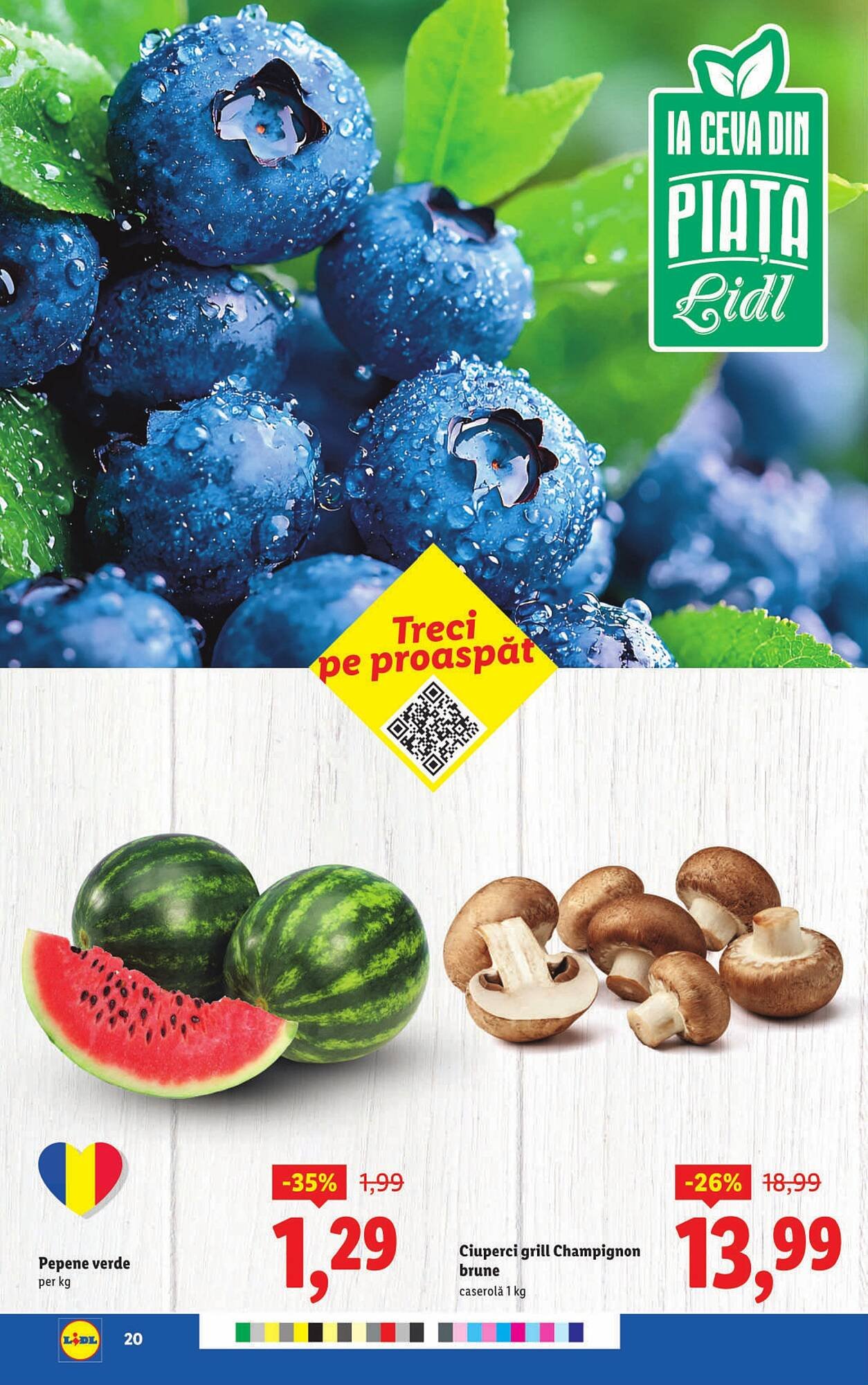 Catalog Lidl
