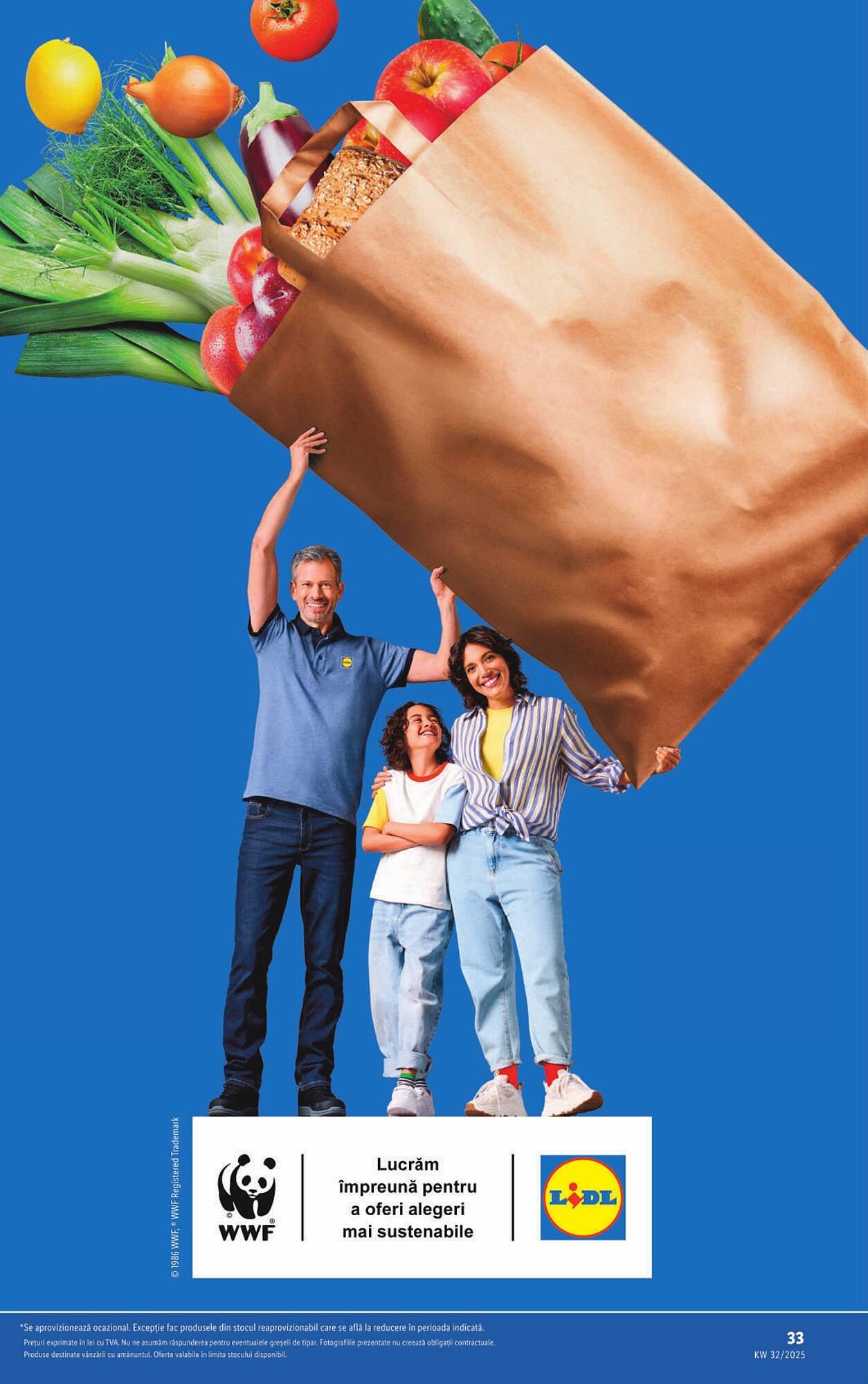 Catalog Lidl