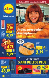 Catalog Lidl