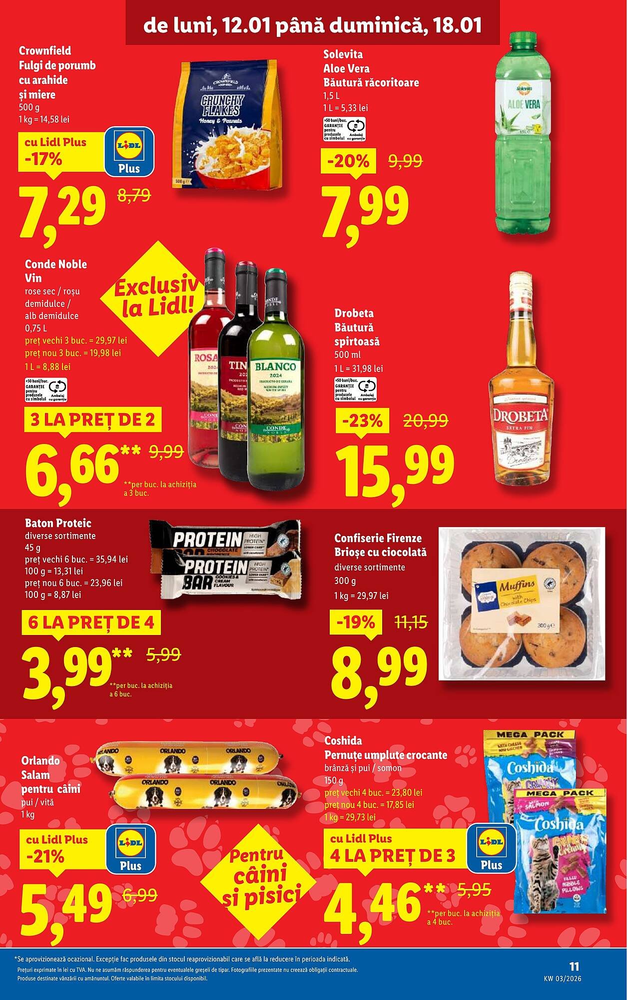 Catalog Lidl