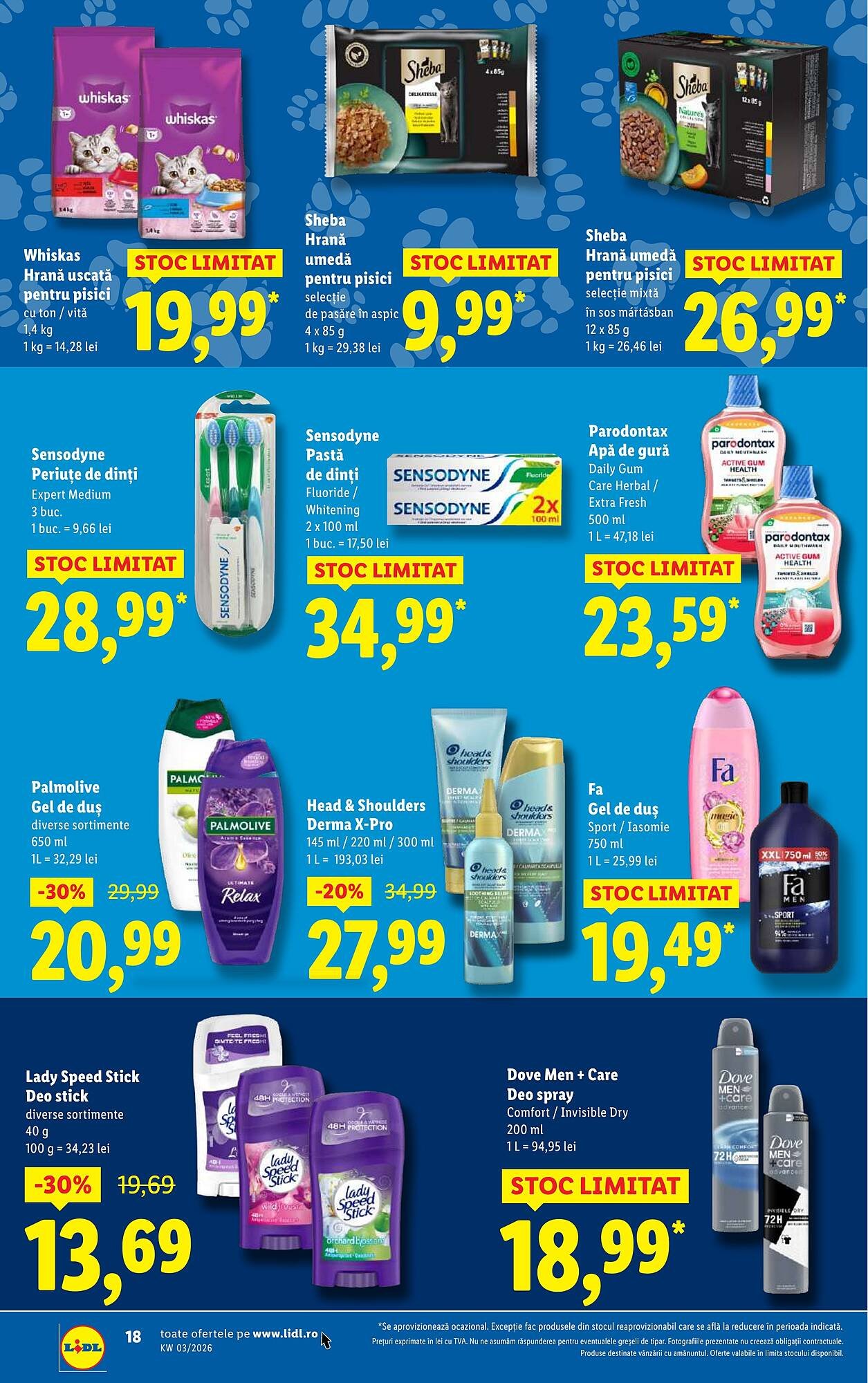 Catalog Lidl