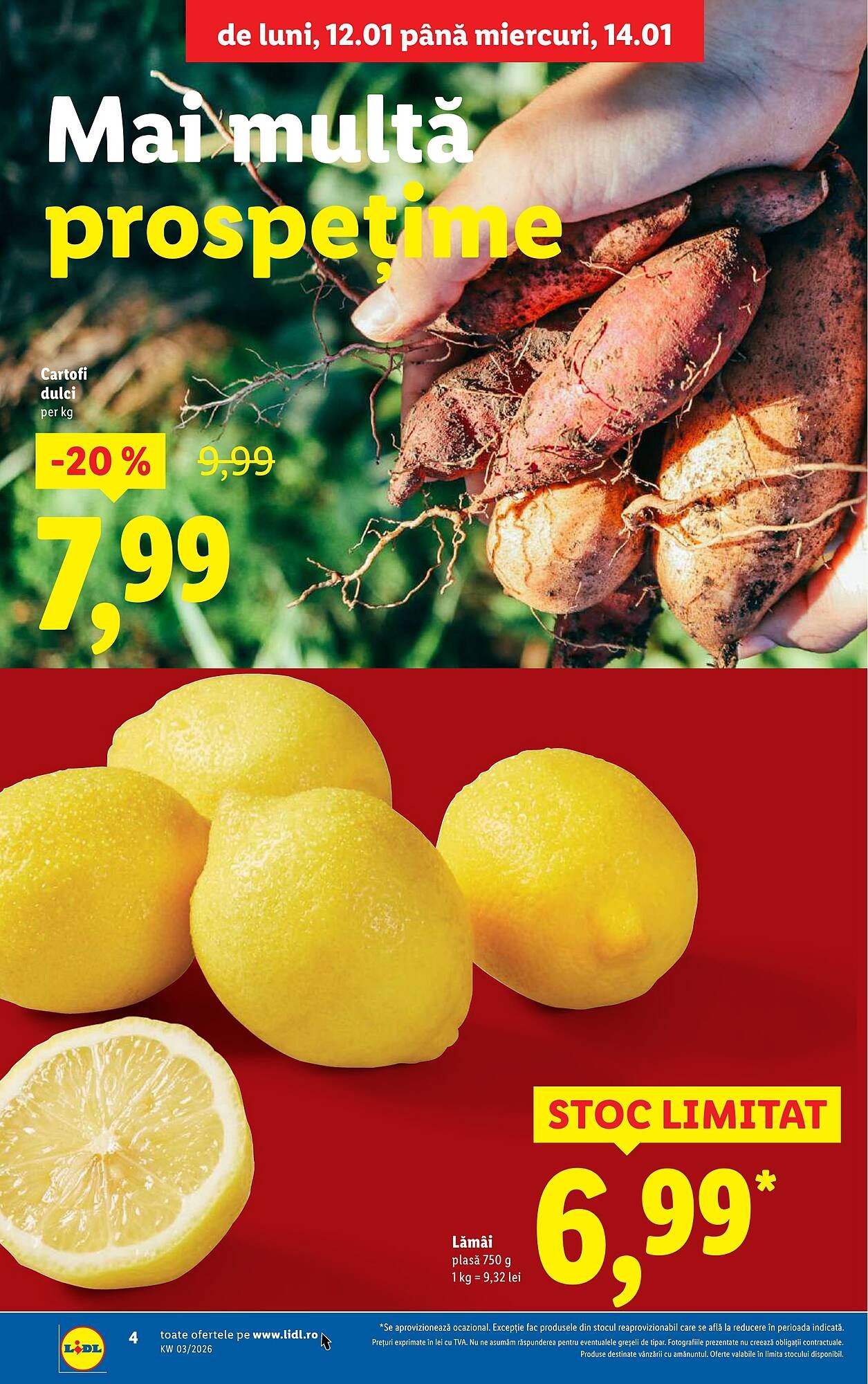 Catalog Lidl