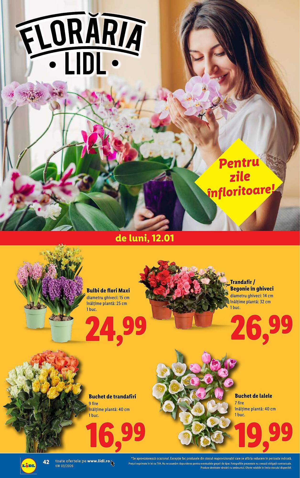 Catalog Lidl