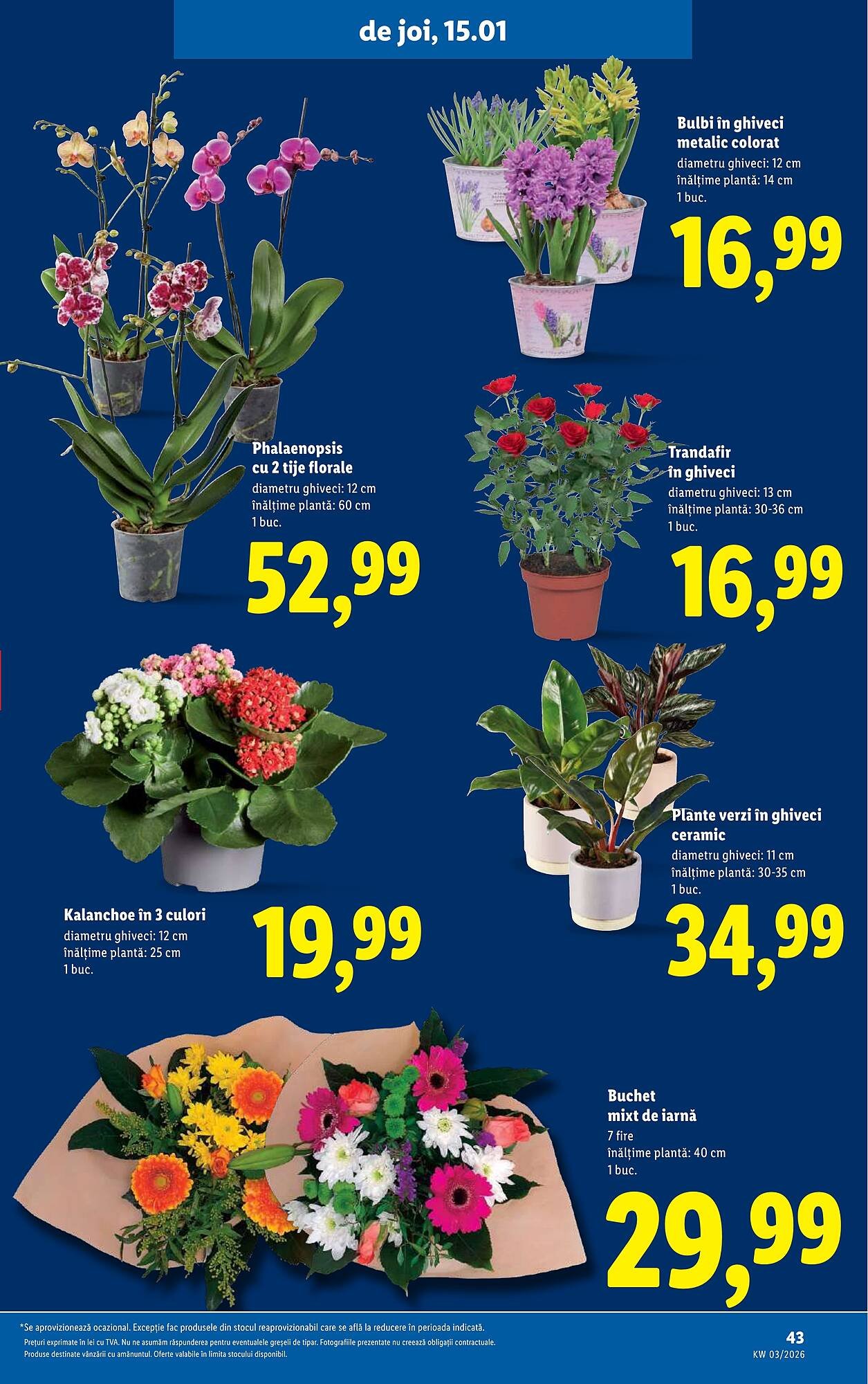 Catalog Lidl