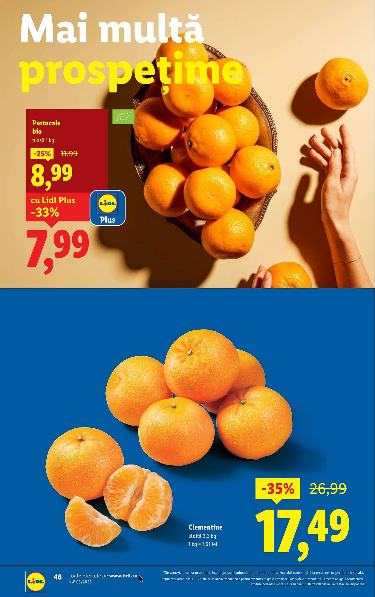 Catalog Lidl