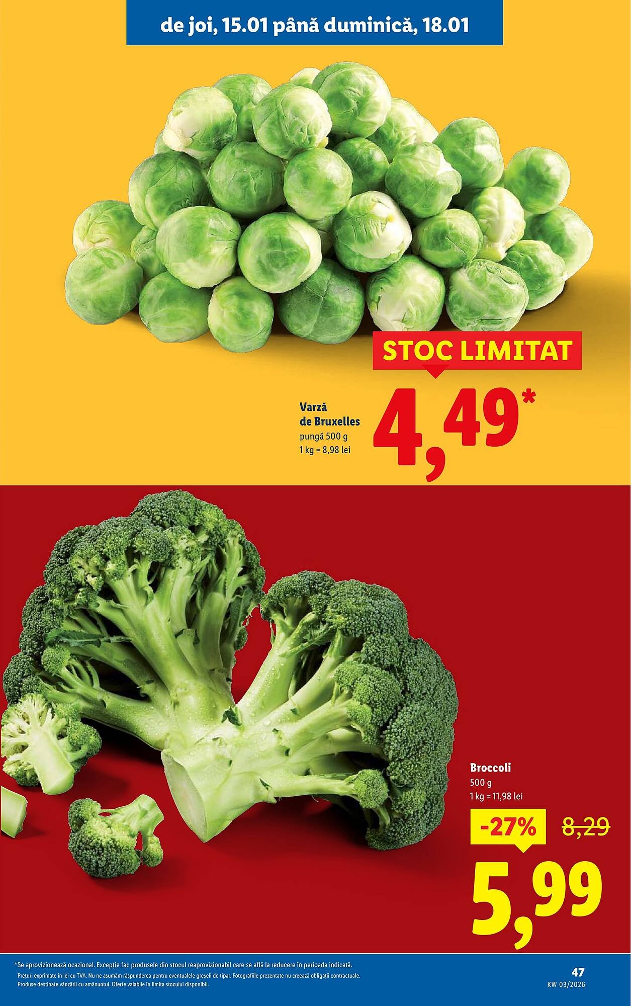 Catalog Lidl
