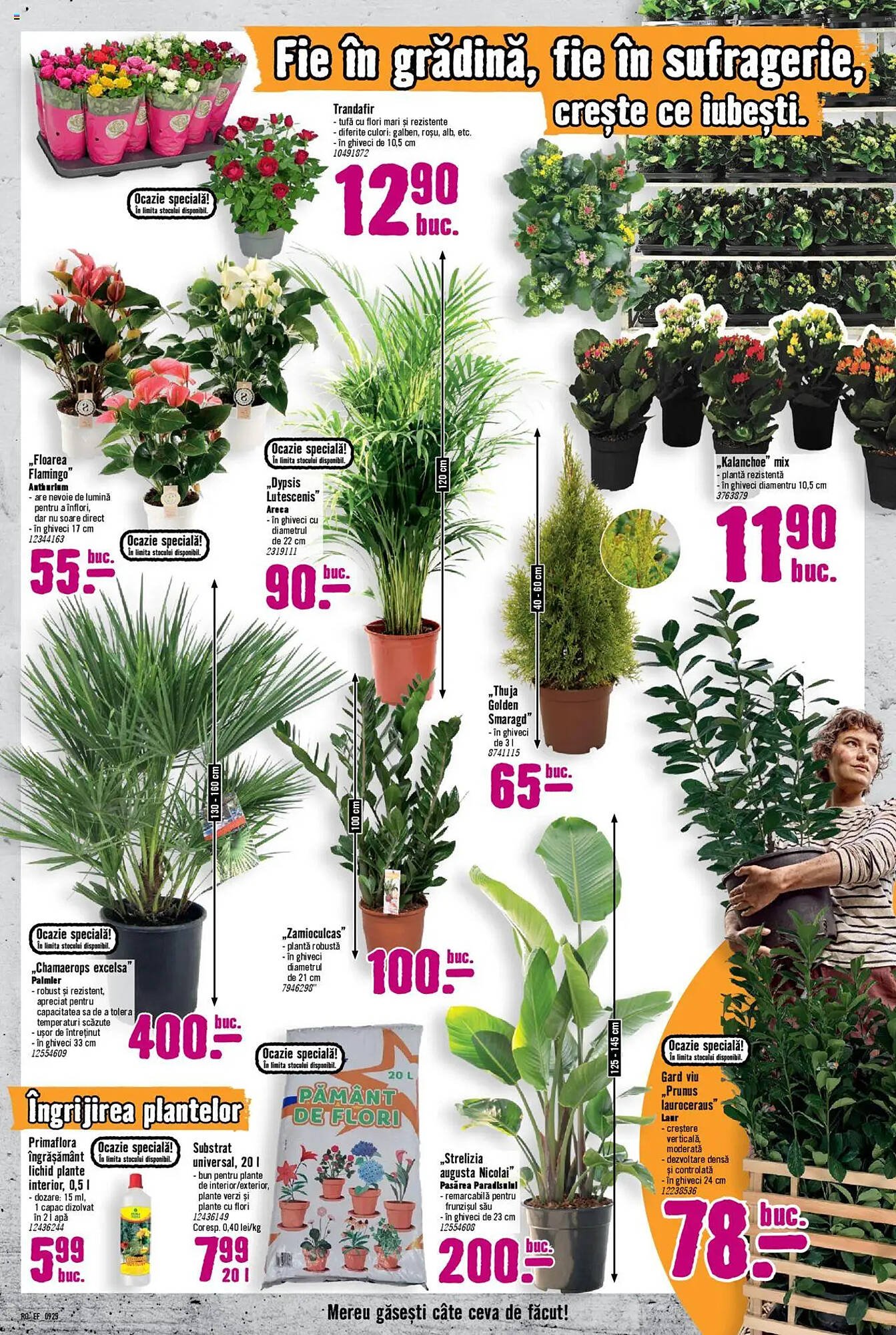 Magazine Hornbach