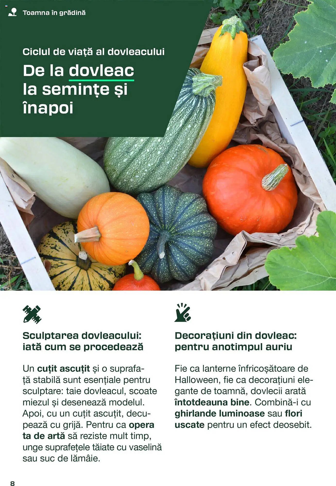 Catalog Lidl