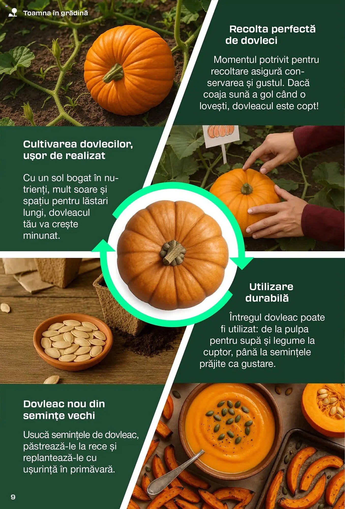 Catalog Lidl