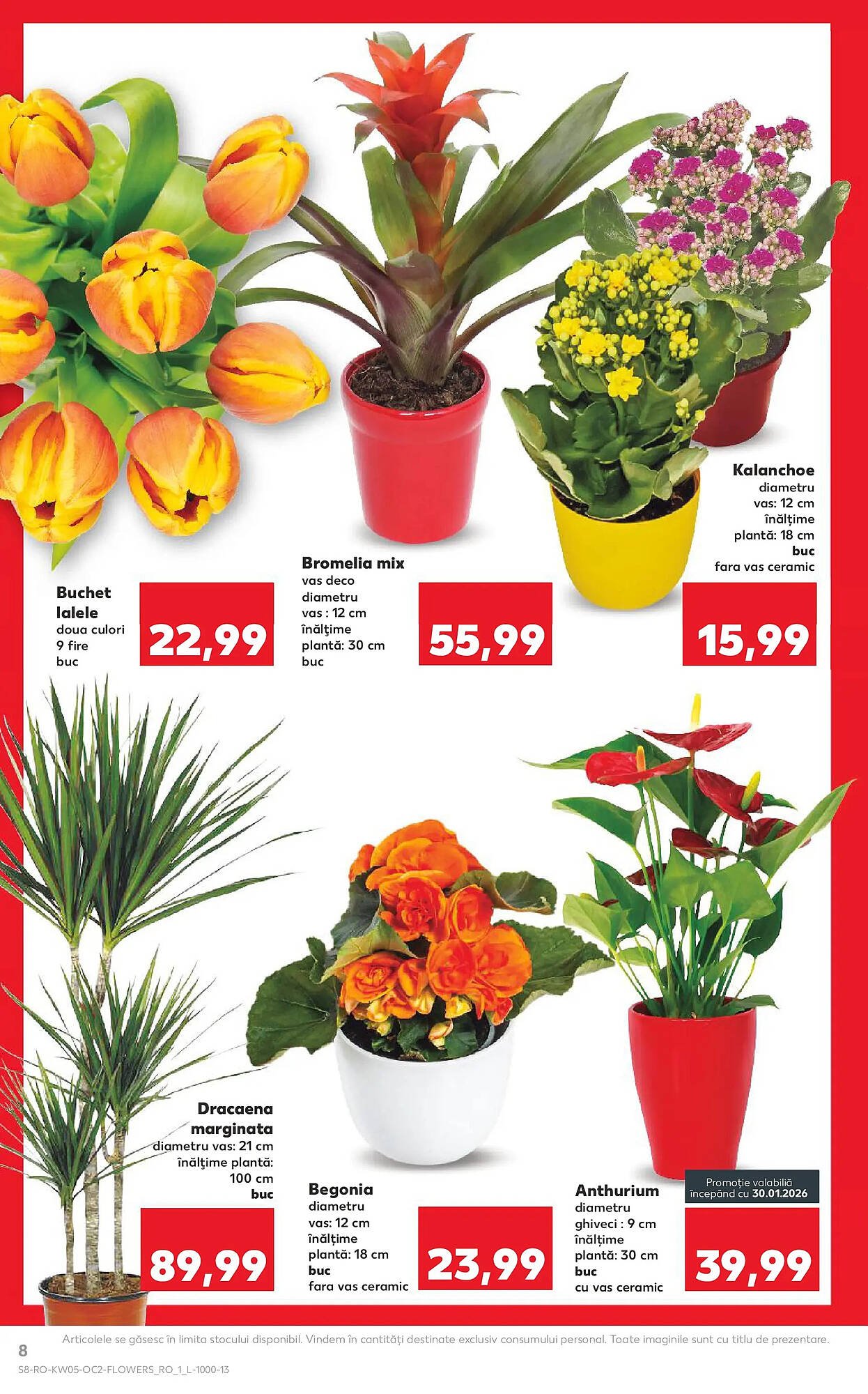 Catalog Kaufland