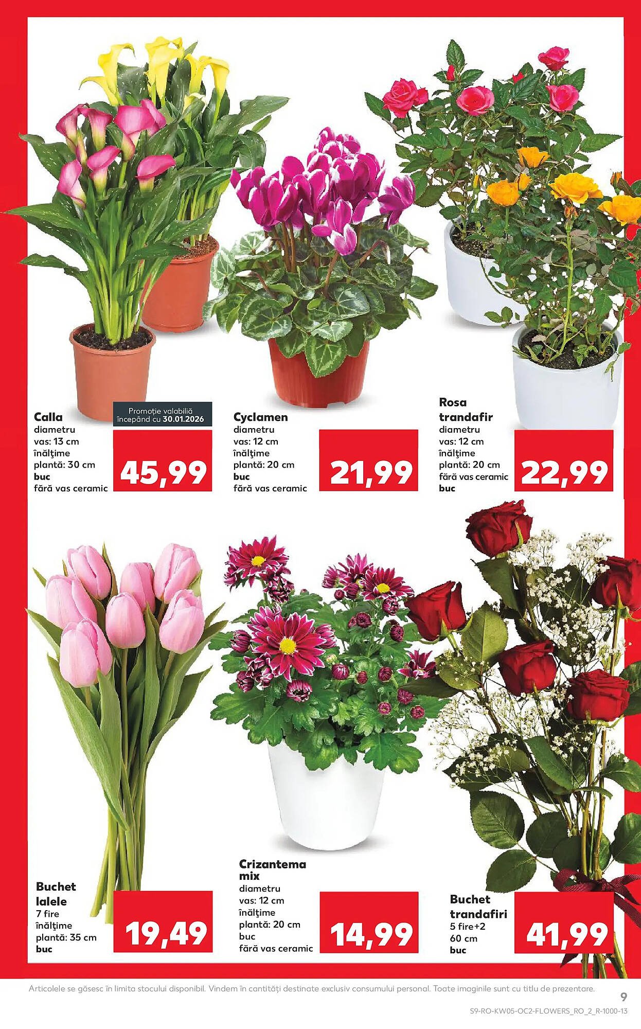 Catalog Kaufland